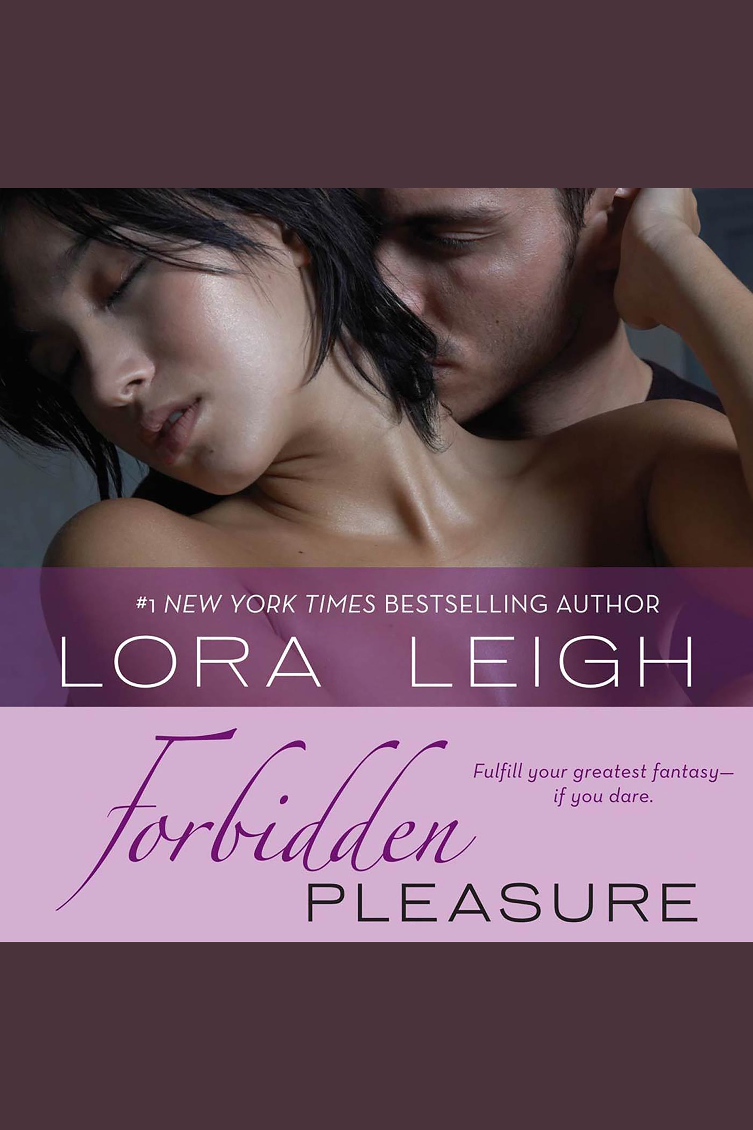 Cover image for Forbidden Pleasure [electronic resource] :