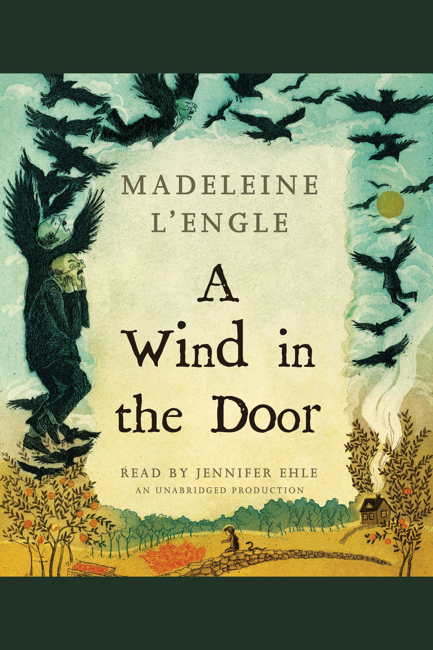 A wind in the door cover image