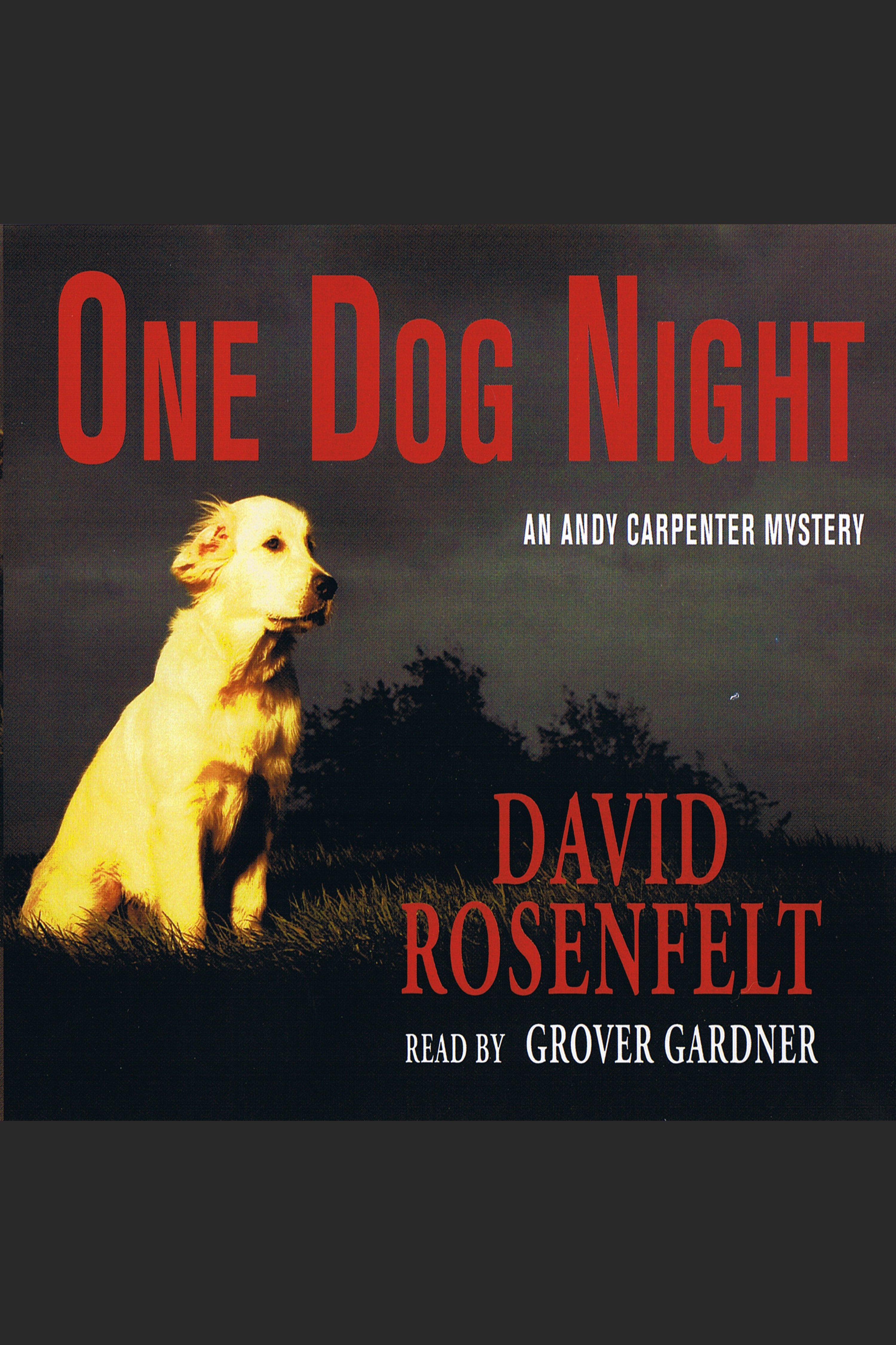 Umschlagbild für One Dog Night [electronic resource] :