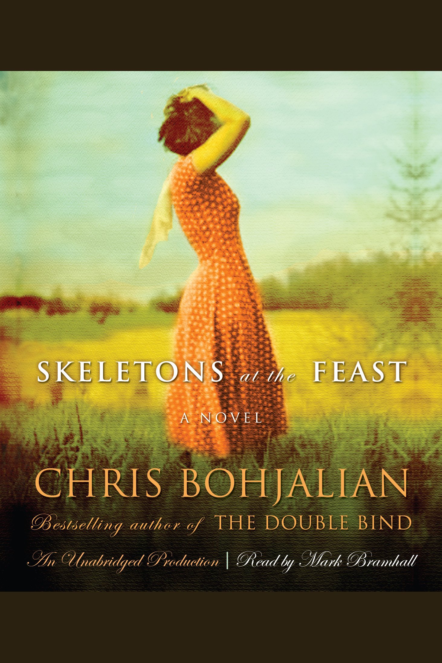 Cover image for Skeletons at the Feast [electronic resource] :
