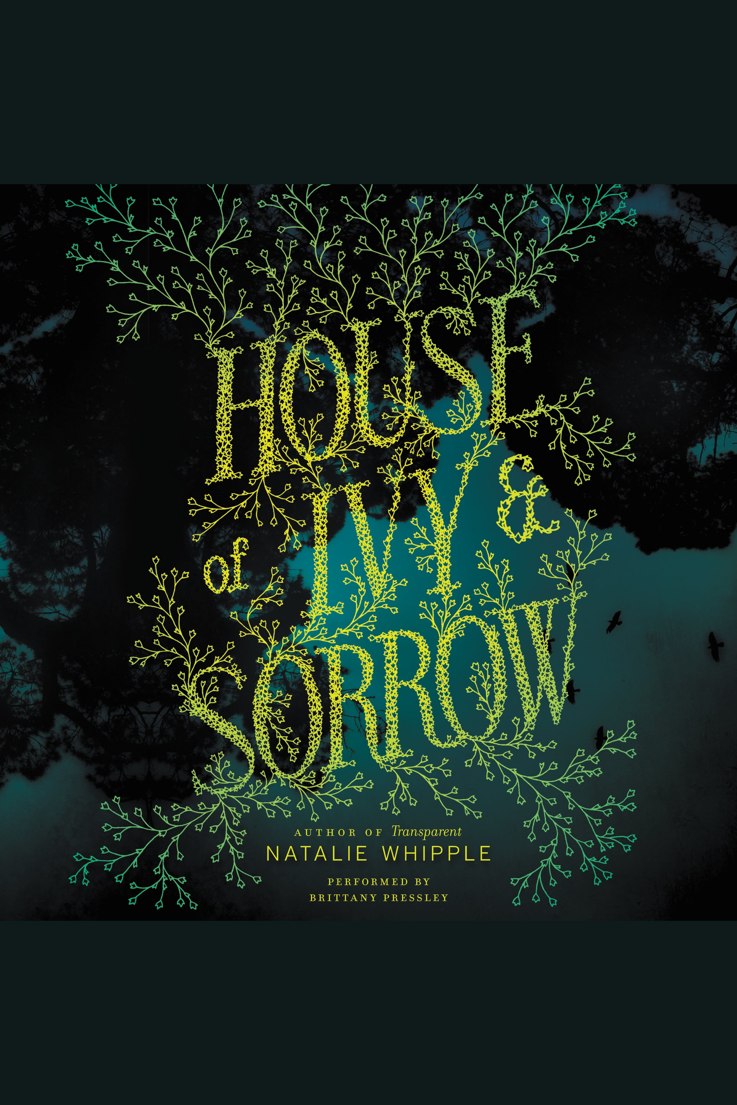 Cover image for House of Ivy & Sorrow [electronic resource] :