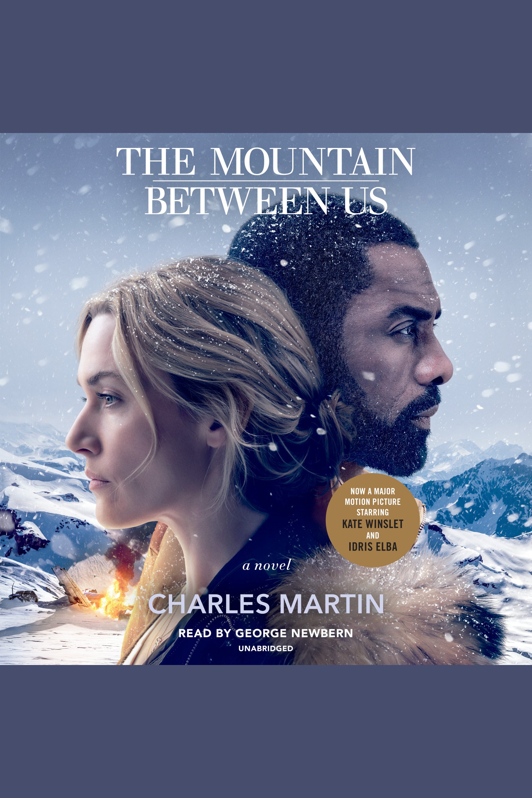 Cover image for The Mountain Between Us [electronic resource] :