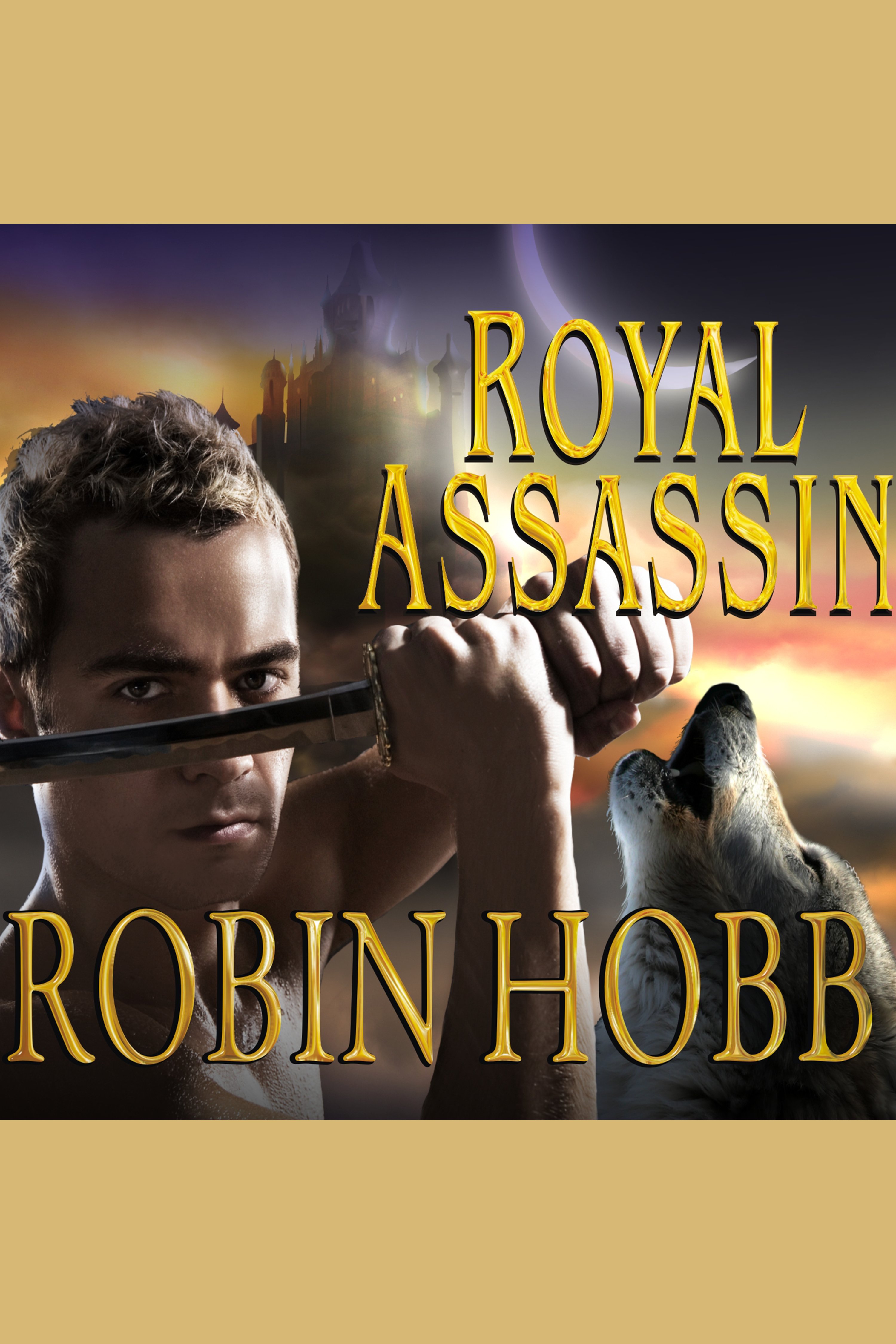 Royal assassin cover image