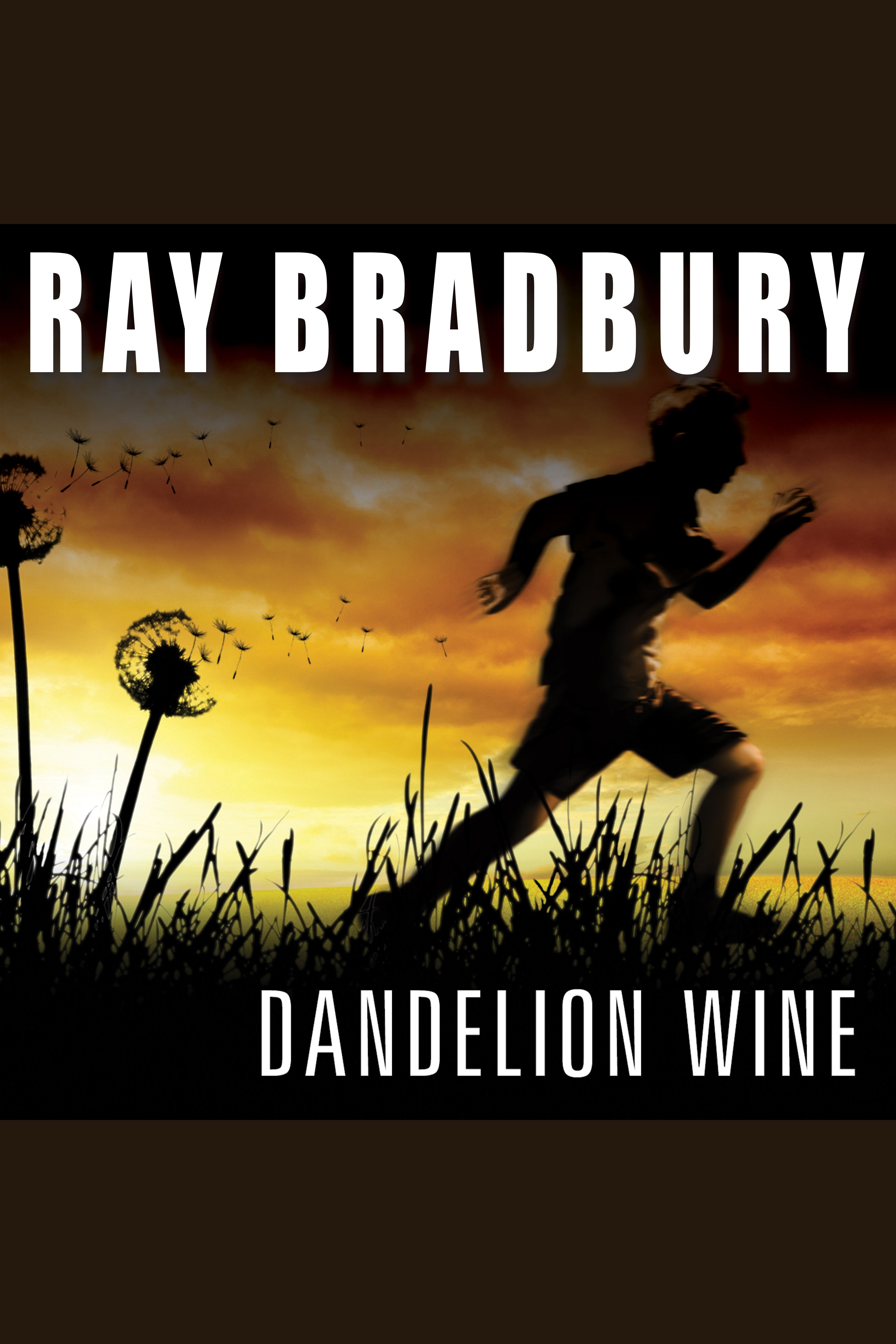 Dandelion wine cover image