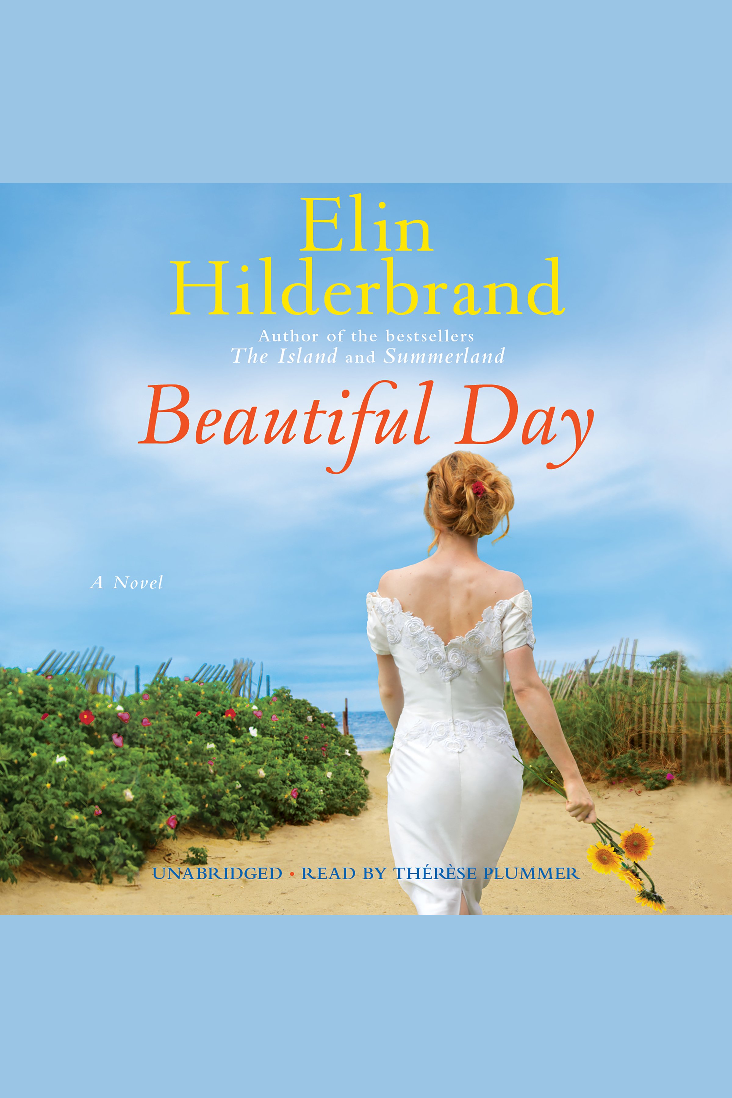 Cover image for Beautiful Day [electronic resource] : A Novel