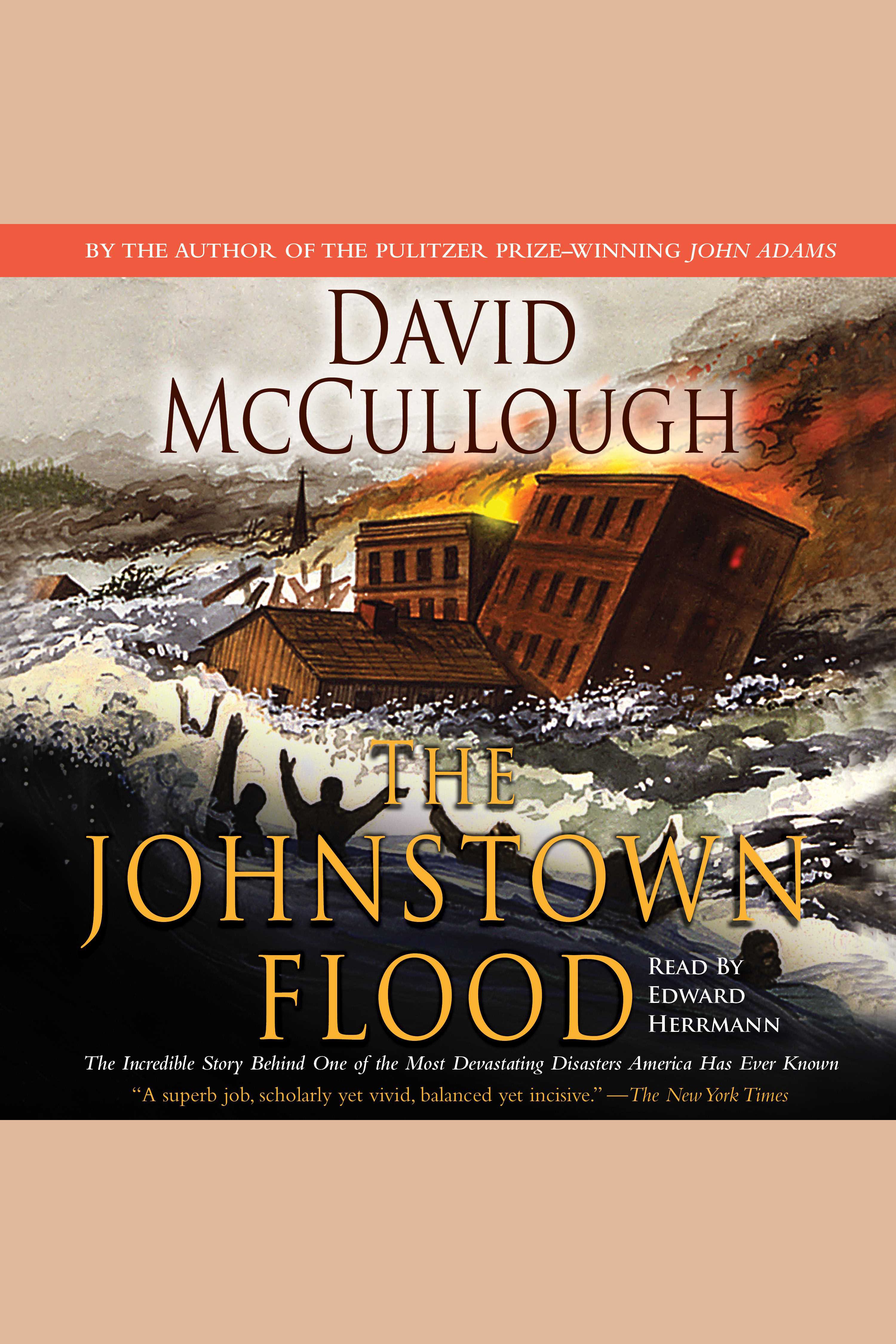 The Johnstown flood cover image
