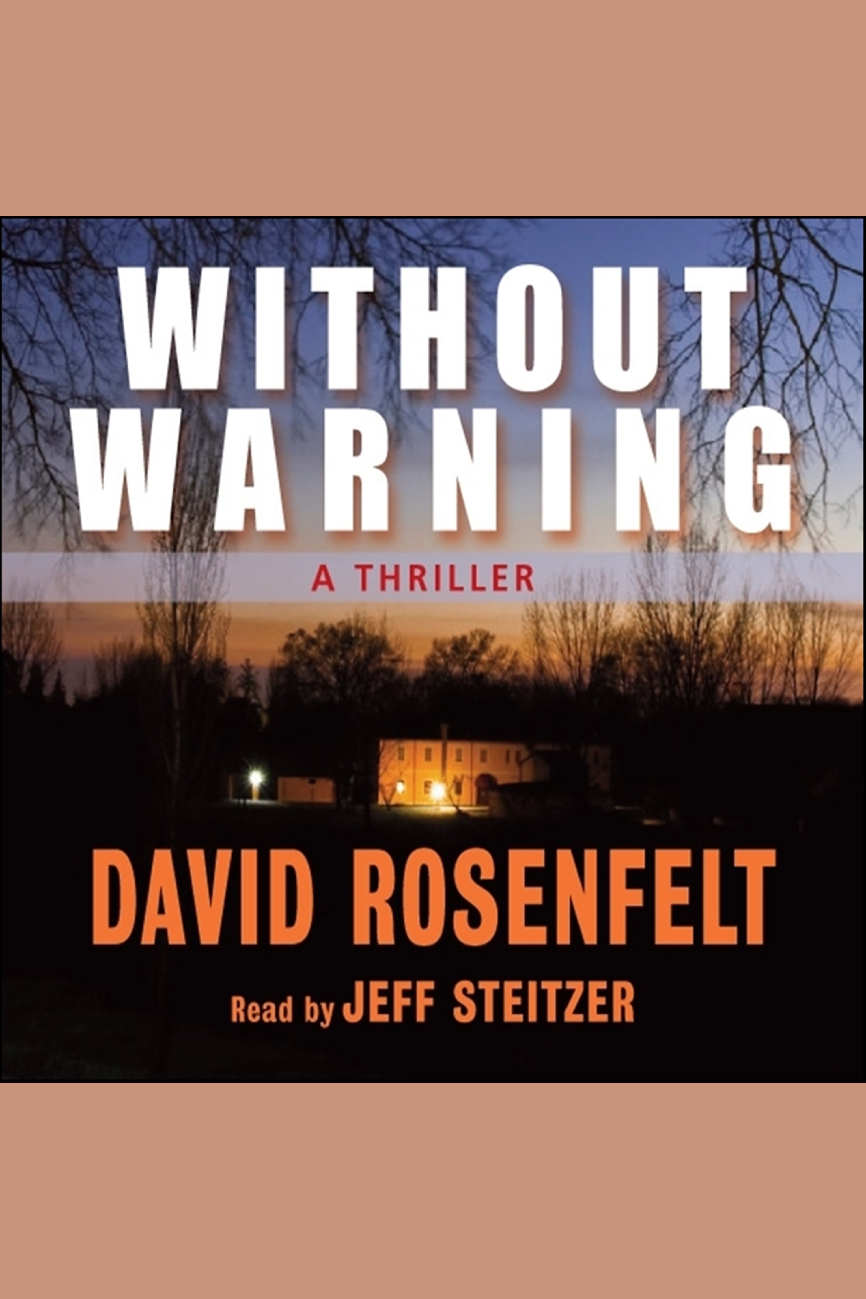 Cover image for Without Warning [electronic resource] :