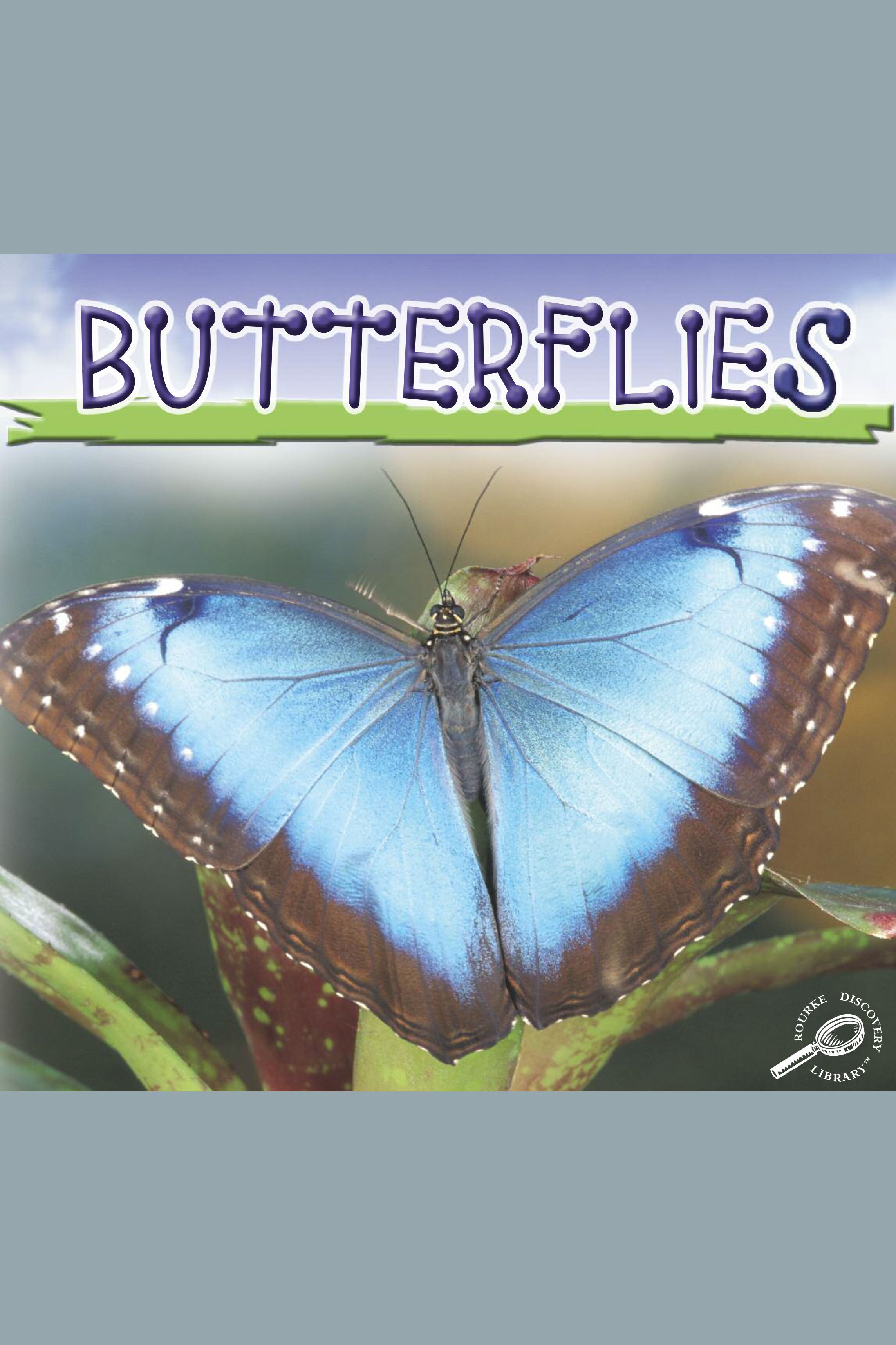 Cover image for Butterflies [electronic resource] : Life Science - Insects Discovery Library