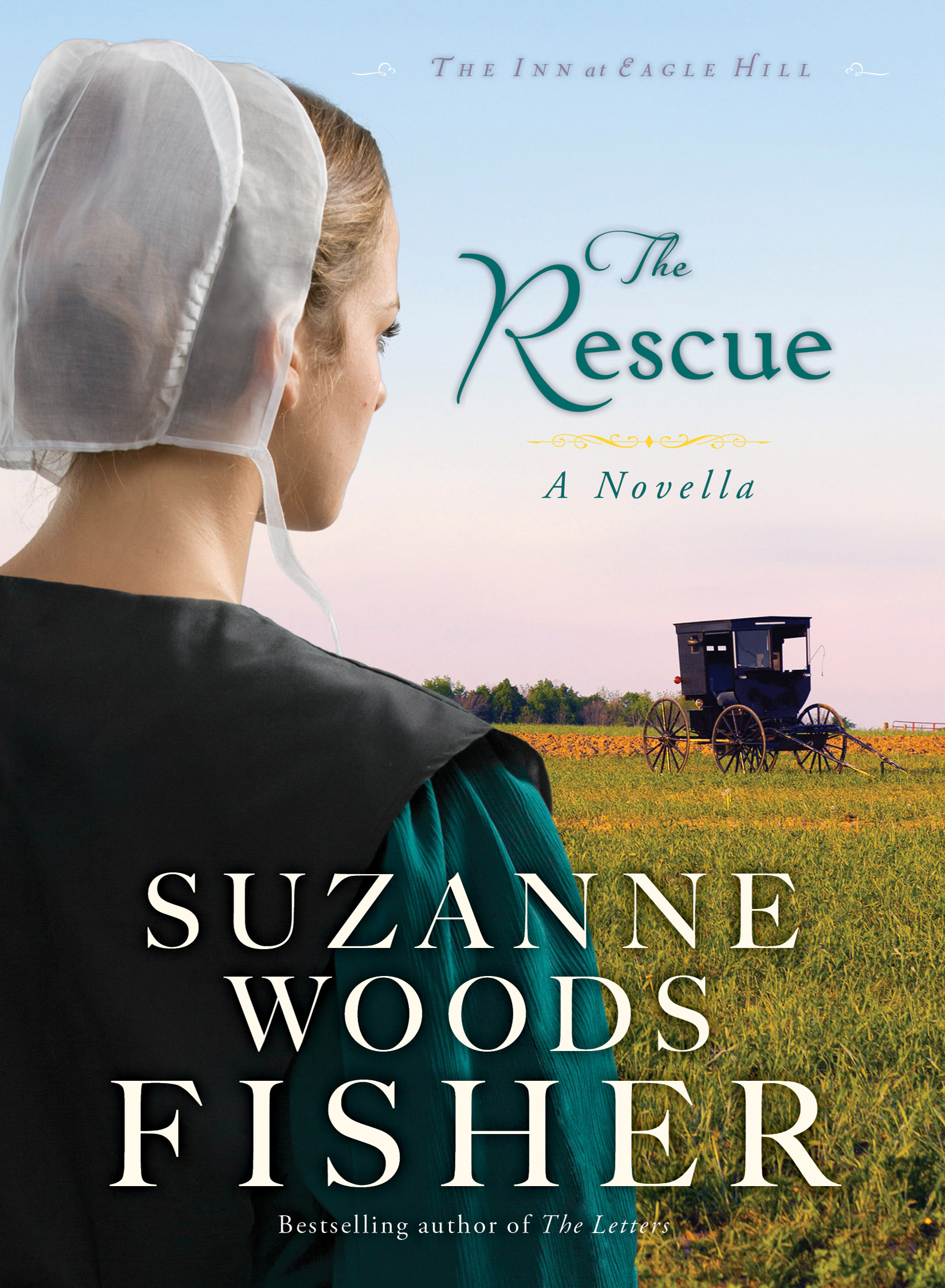Image de couverture de The Rescue (Ebook Shorts) (The Inn at Eagle Hill) [electronic resource] : An Inn at Eagle Hill Novella