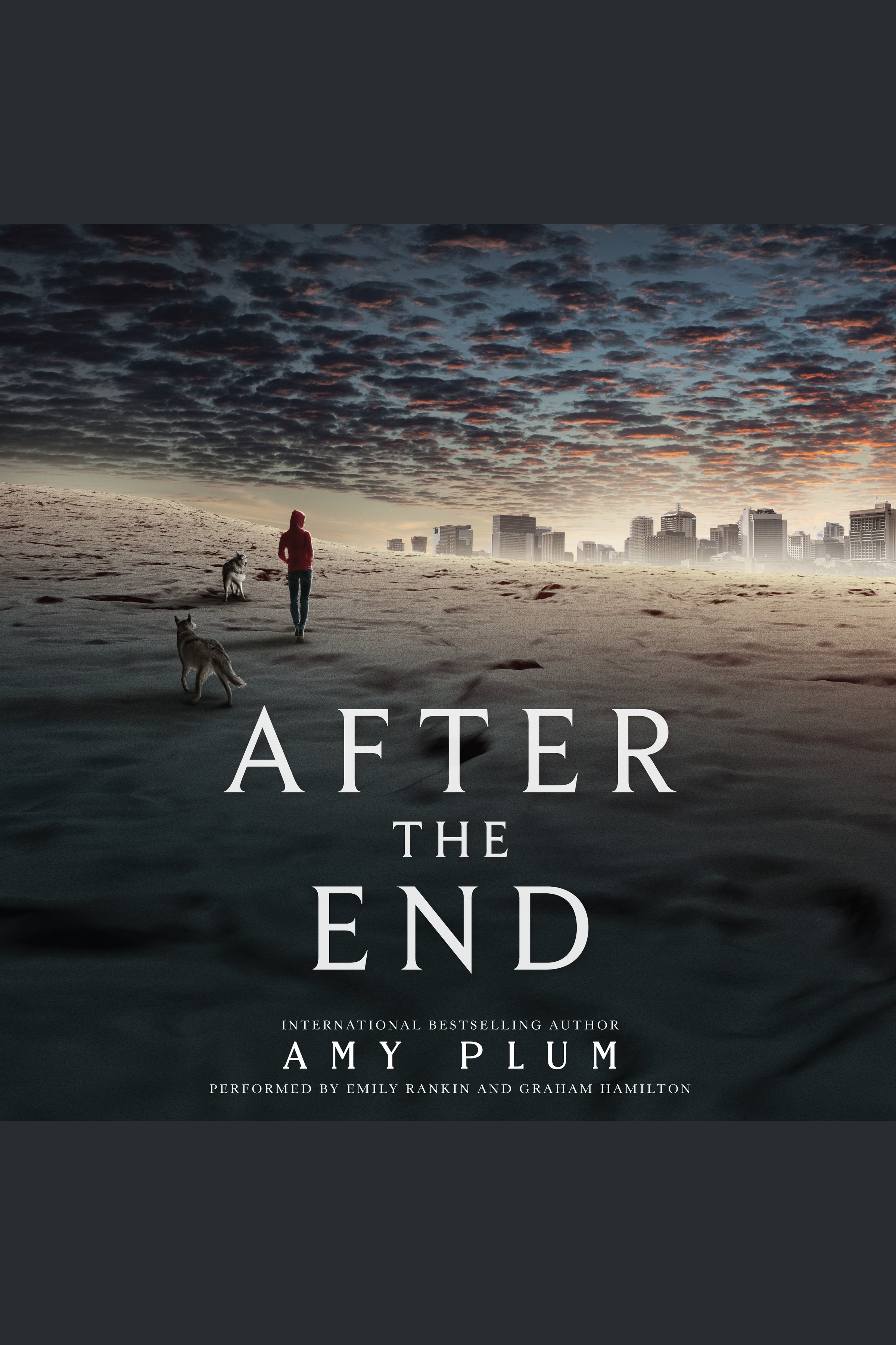 Cover image for After the End [electronic resource] :