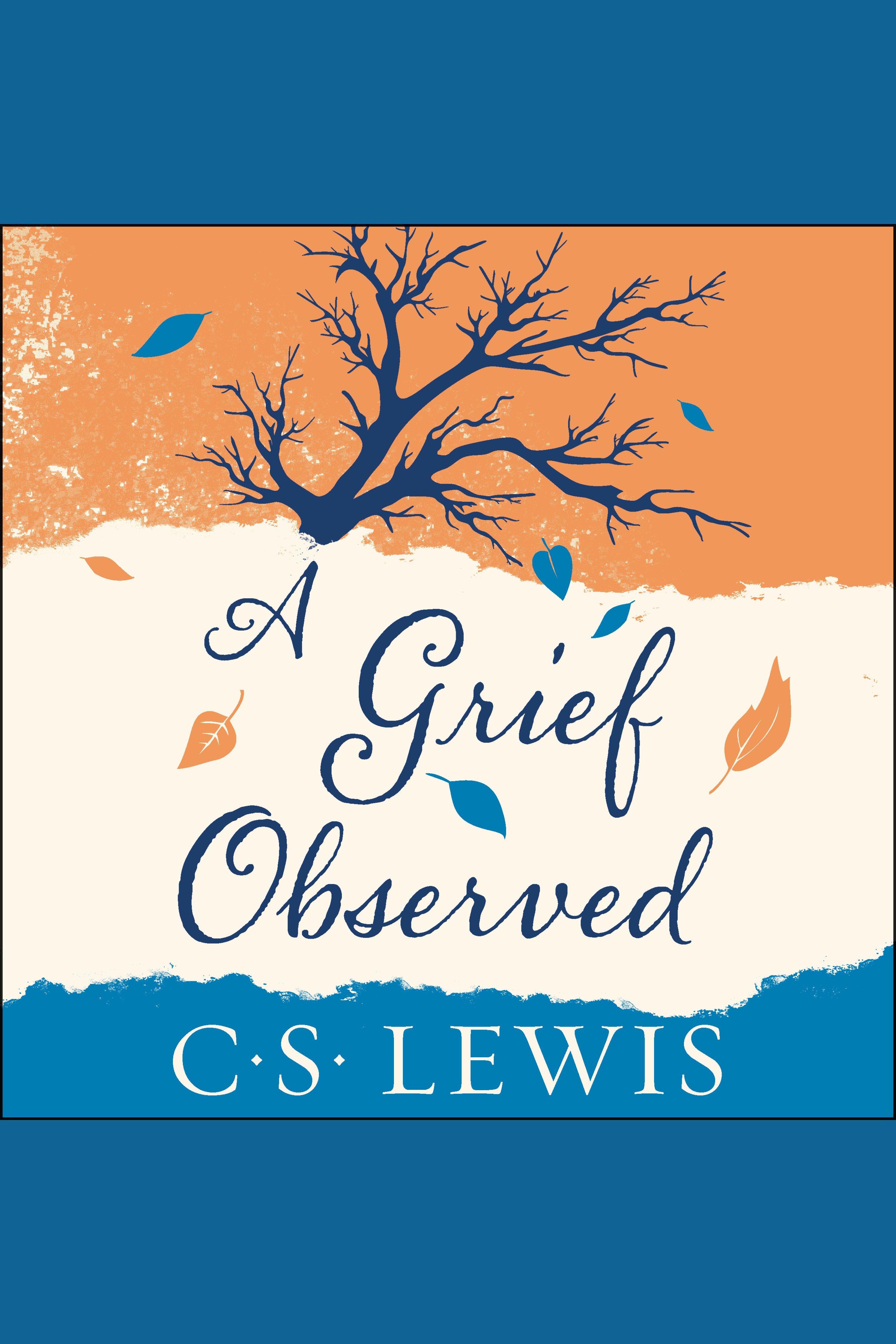 Cover image for Grief Observed, A [electronic resource] :
