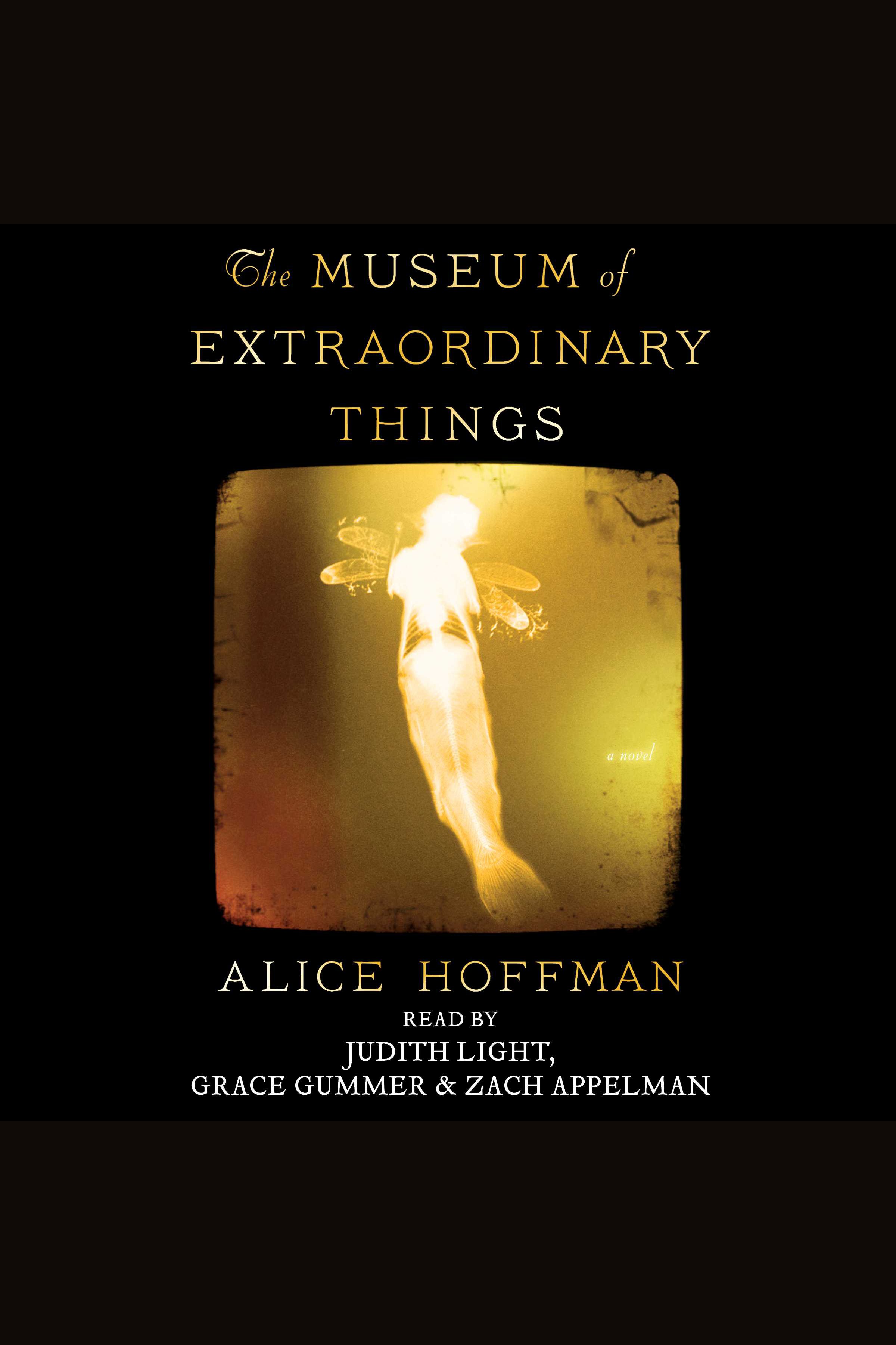 Cover image for The Museum of Extraordinary Things [electronic resource] :