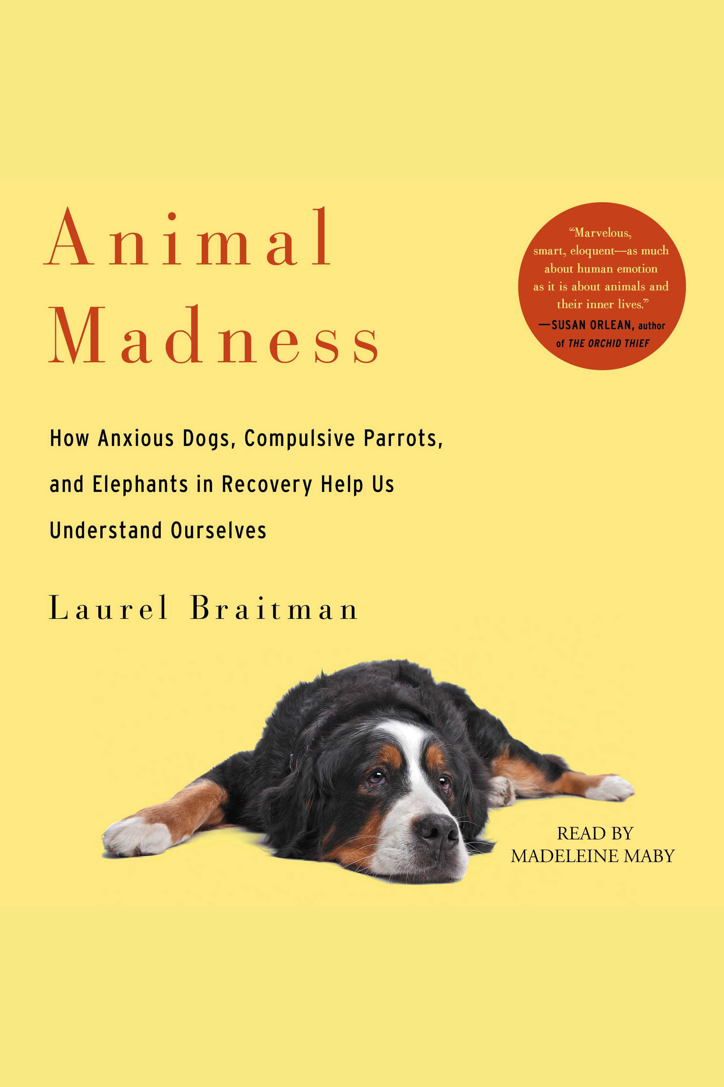 Animal Madness How Anxious Dogs, Compulsive Parrots, Gorillas on Drugs, and Elephants in Recovery Help Us Understand Ourselves cover image