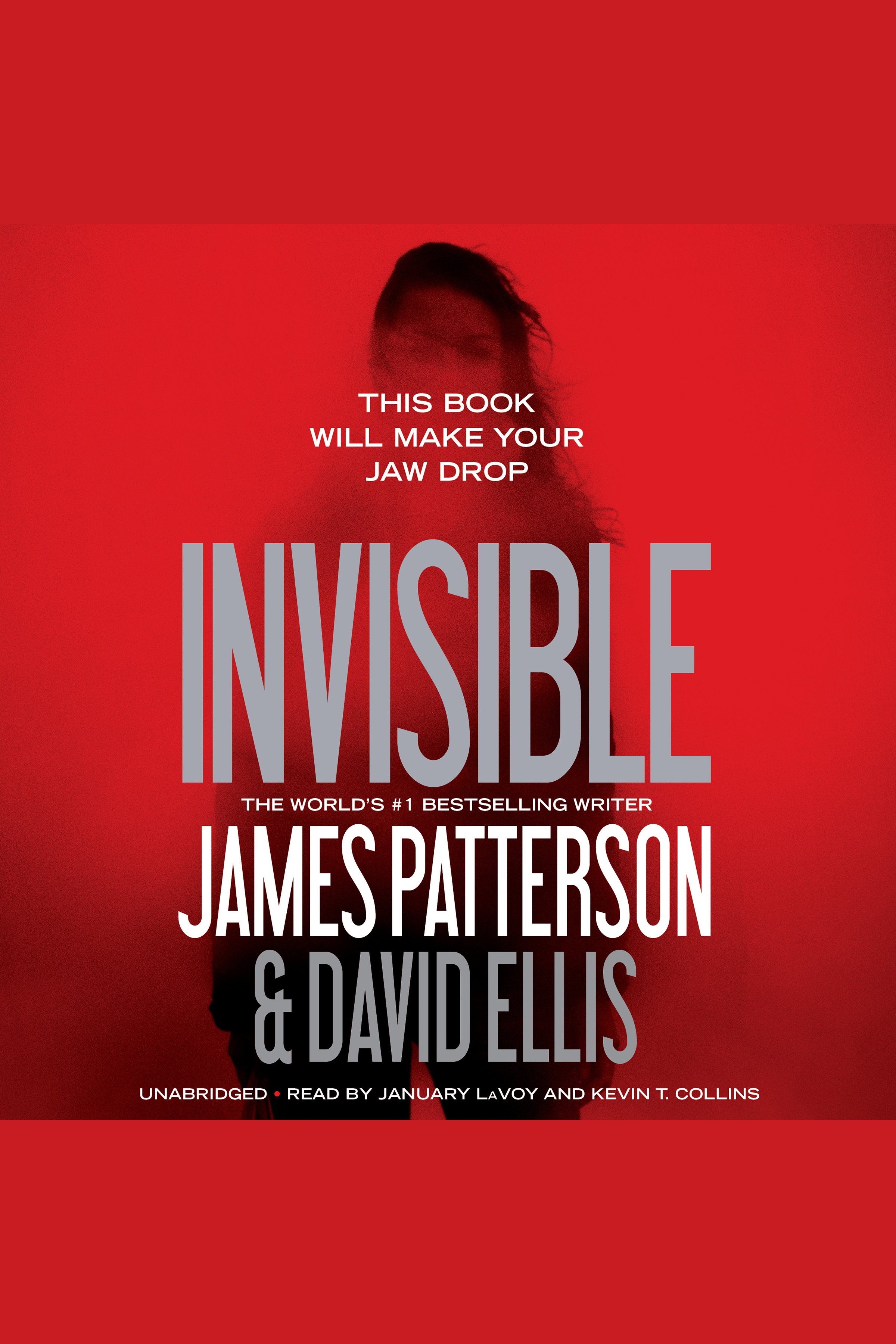 Cover image for Invisible [electronic resource] :