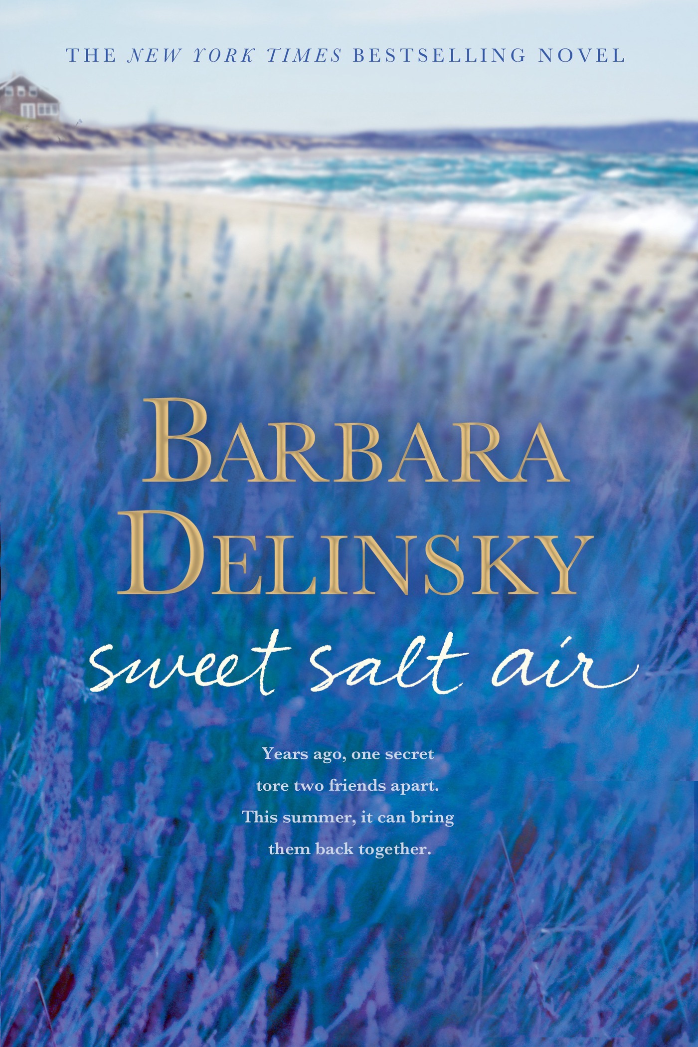 Cover image for Sweet Salt Air [electronic resource] : A Novel