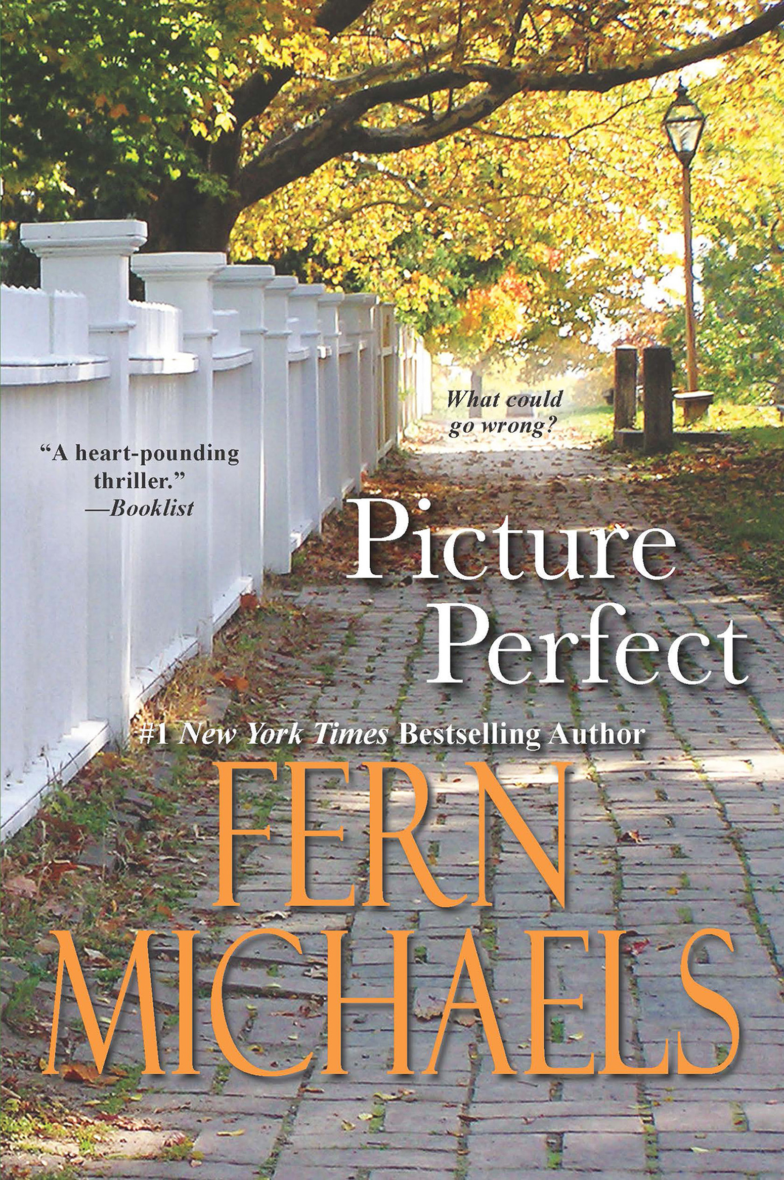 Cover image for Picture Perfect [electronic resource] :