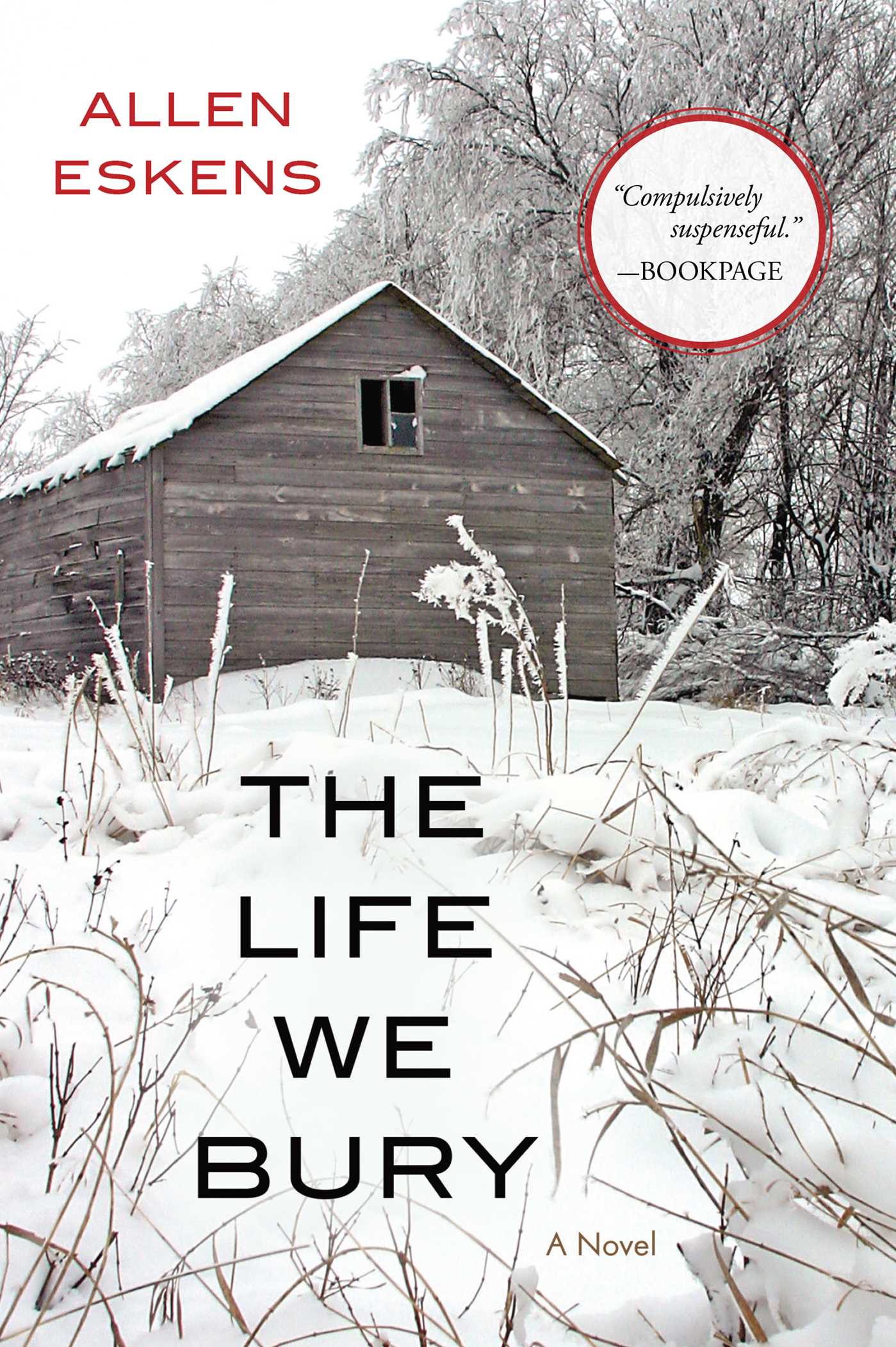 Cover image for The Life We Bury [electronic resource] :