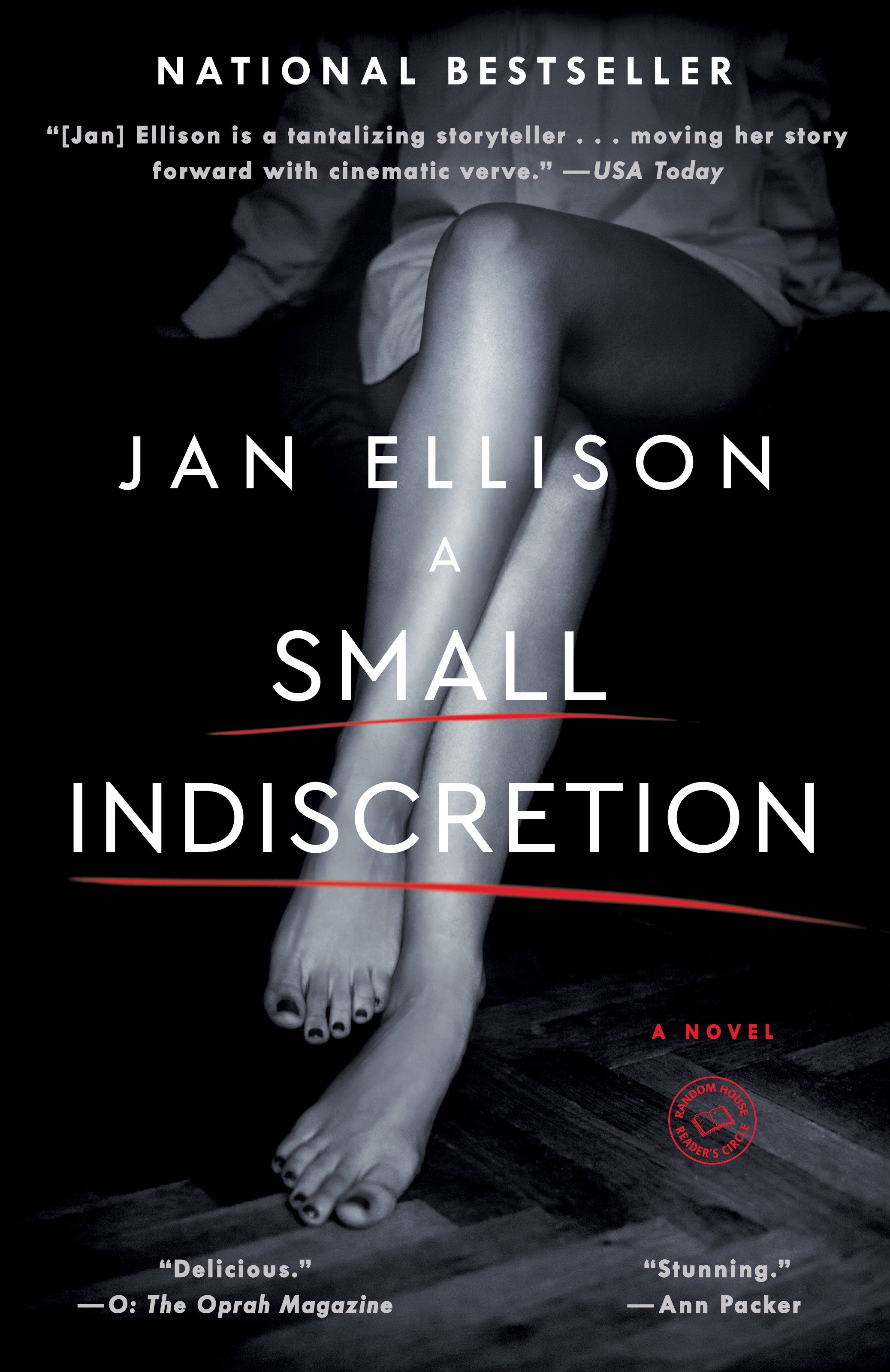 Umschlagbild für A Small Indiscretion [electronic resource] : A Novel