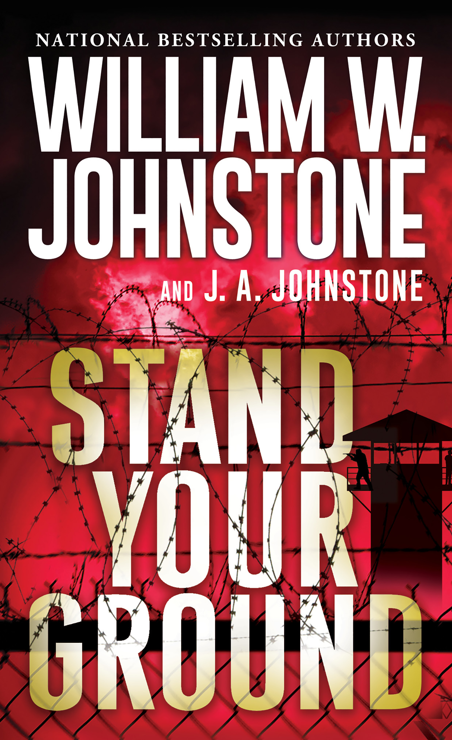 Umschlagbild für Stand Your Ground [electronic resource] :