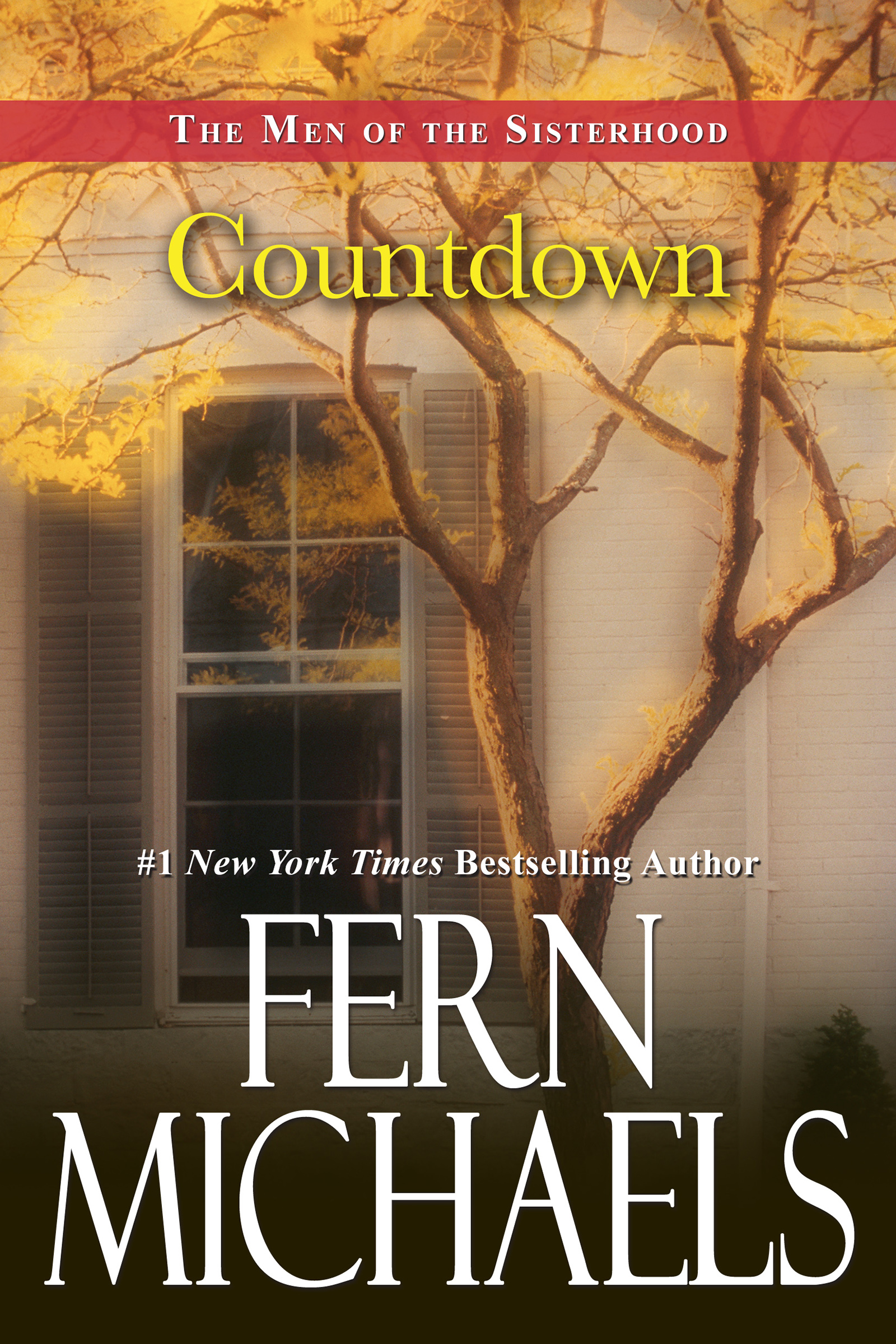 Cover image for Countdown [electronic resource] :