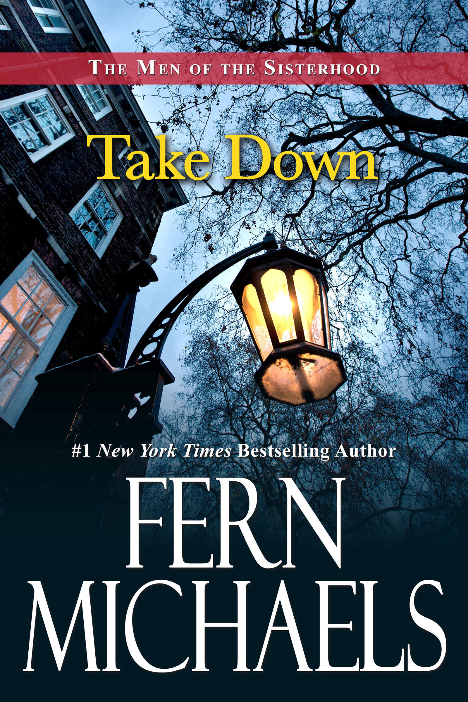 Cover image for Take Down [electronic resource] :