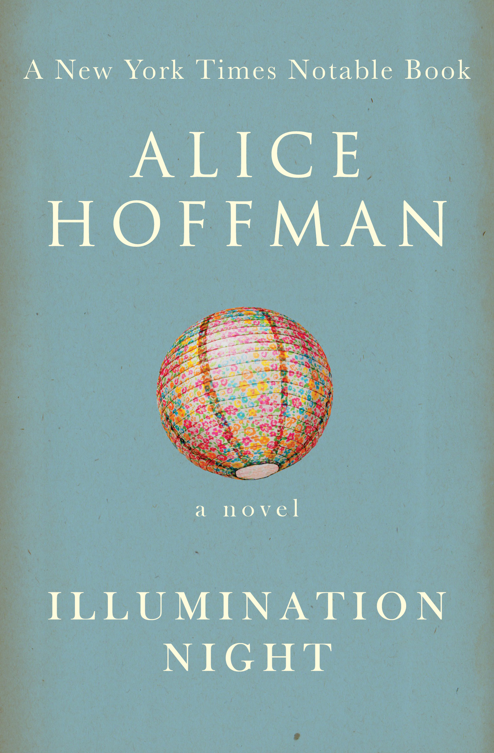Cover image for Illumination Night [electronic resource] : A Novel