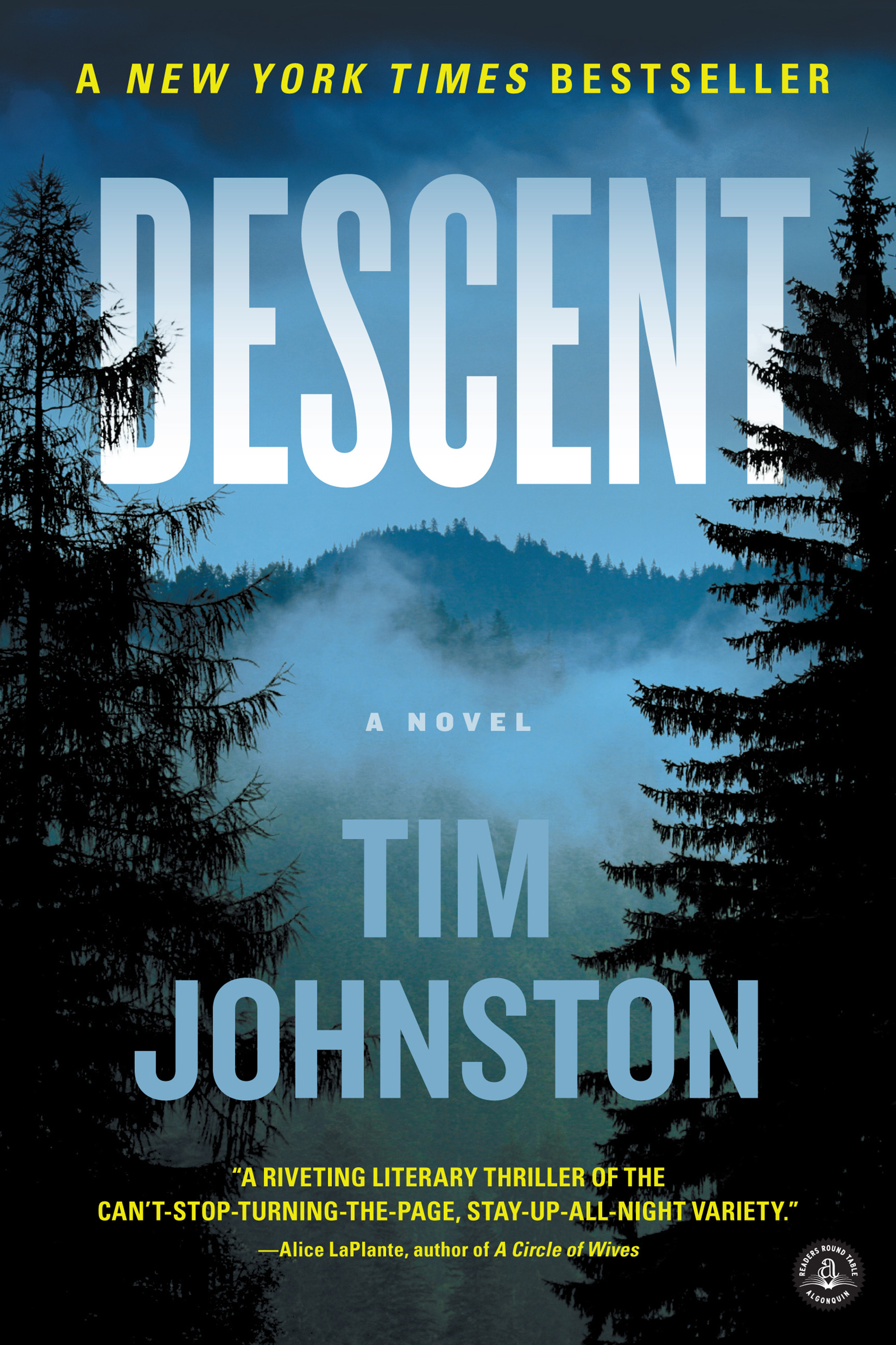 Cover image for Descent [electronic resource] : A Novel