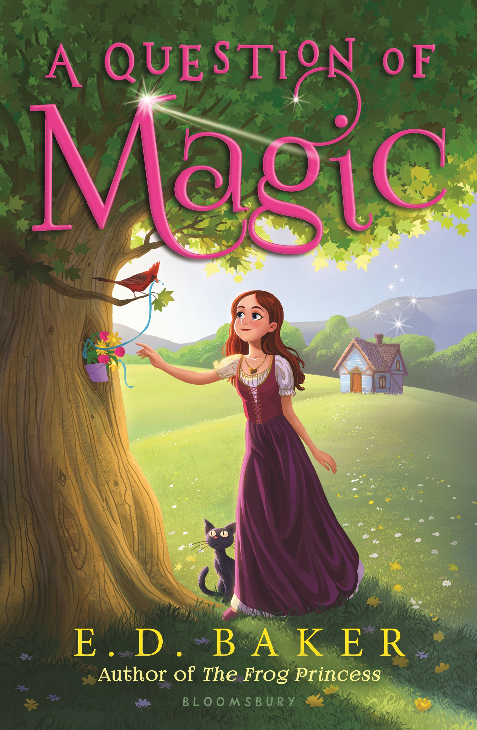 Cover image for A Question of Magic [electronic resource] :