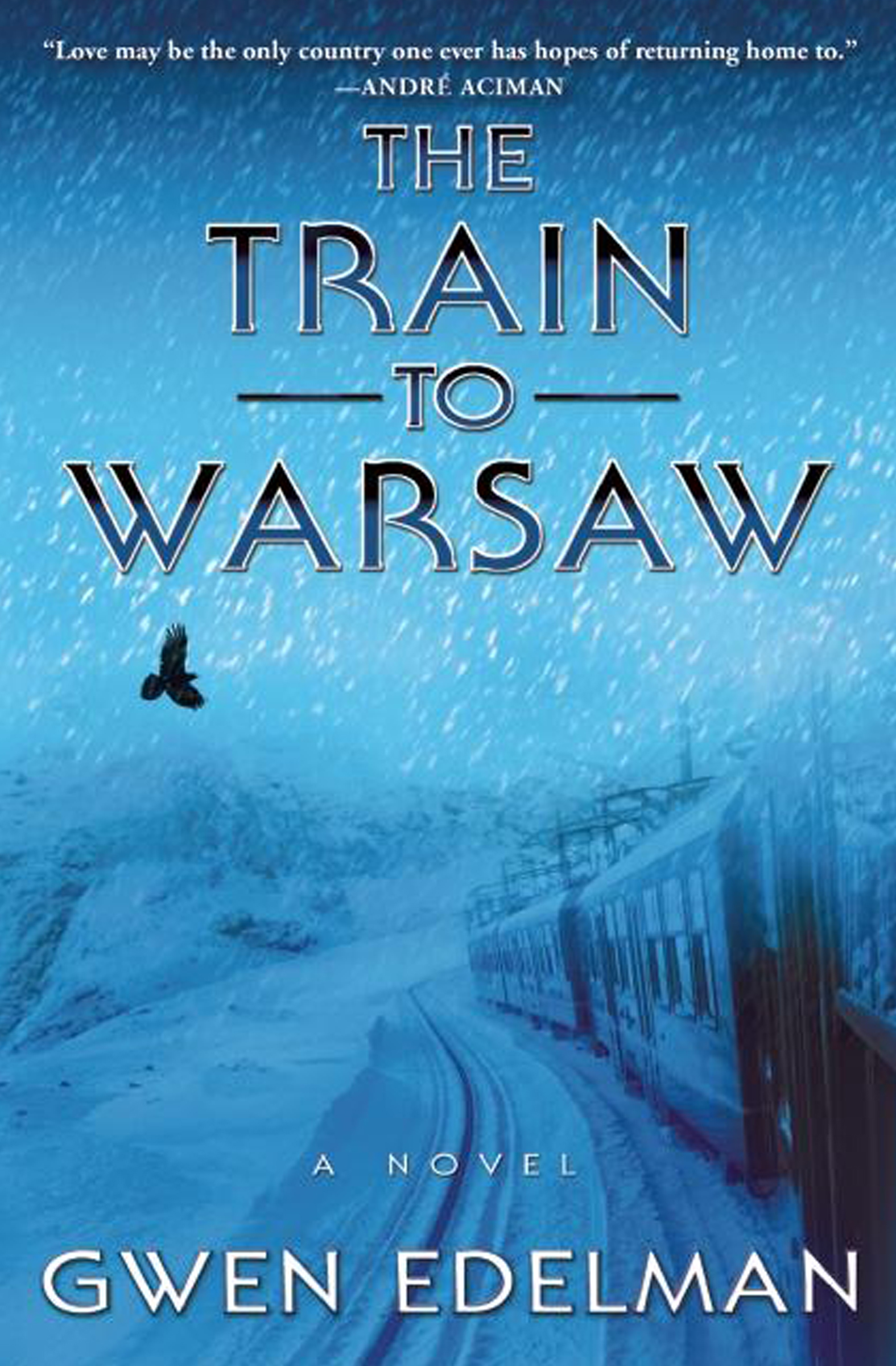 Umschlagbild für The Train to Warsaw [electronic resource] : A Novel