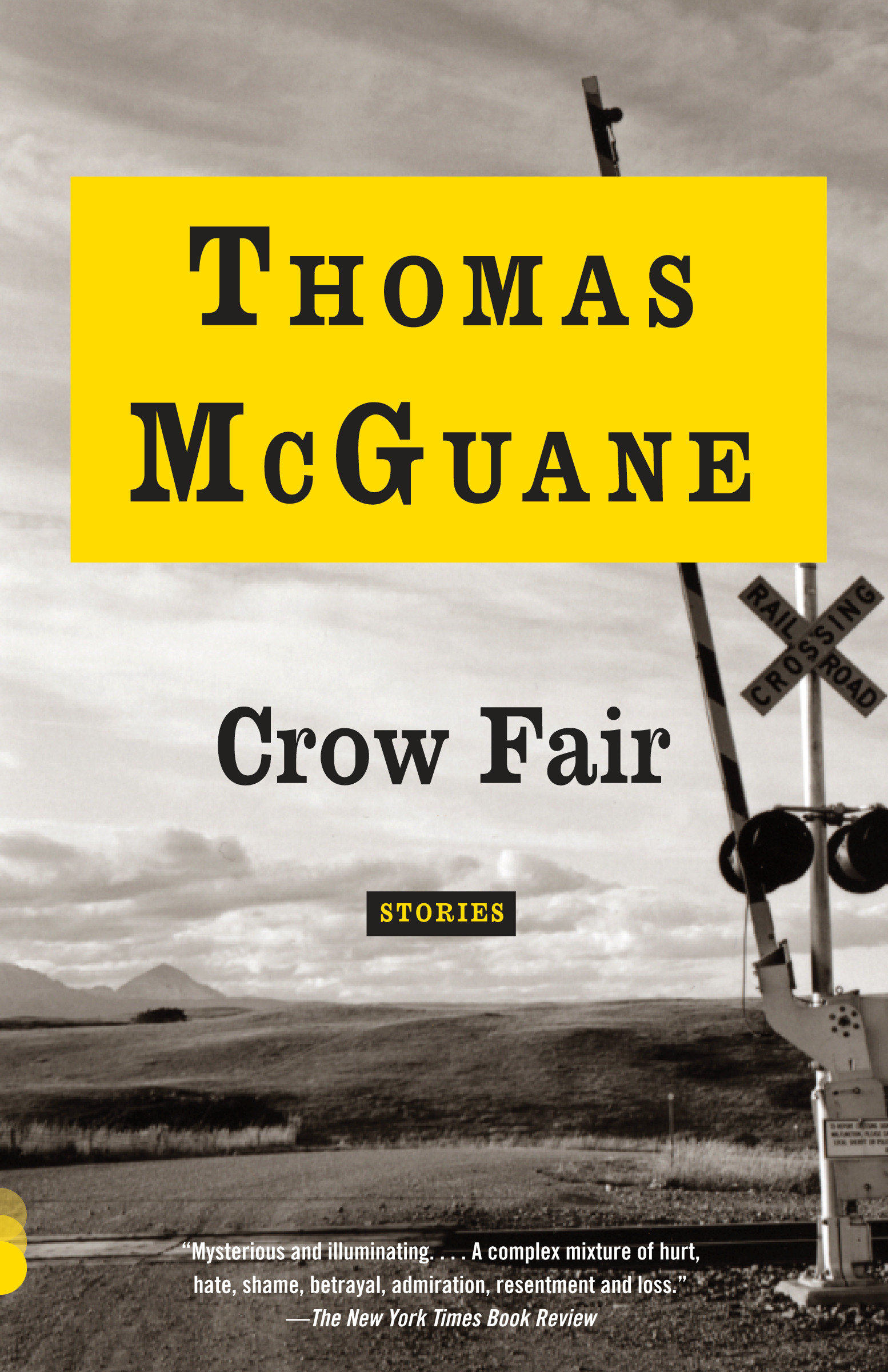 Cover image for Crow Fair [electronic resource] : Stories