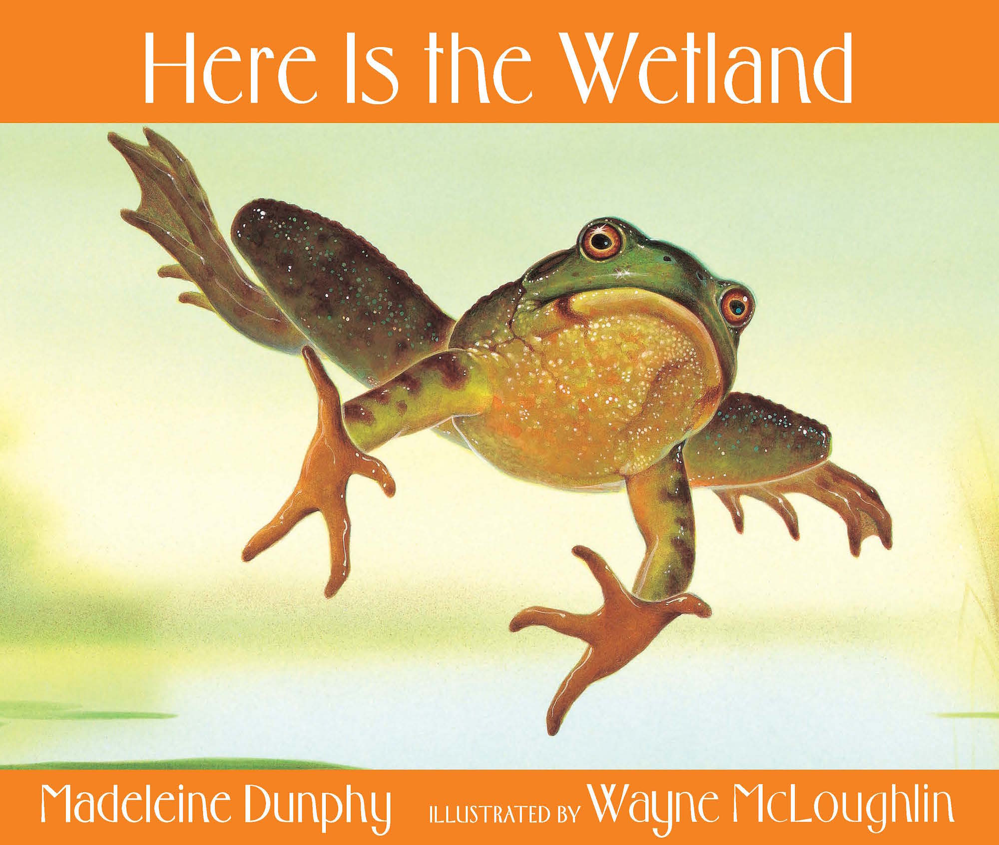 Cover Image of Here Is the Wetland