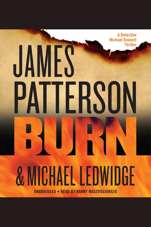 Cover image for Burn [electronic resource] :