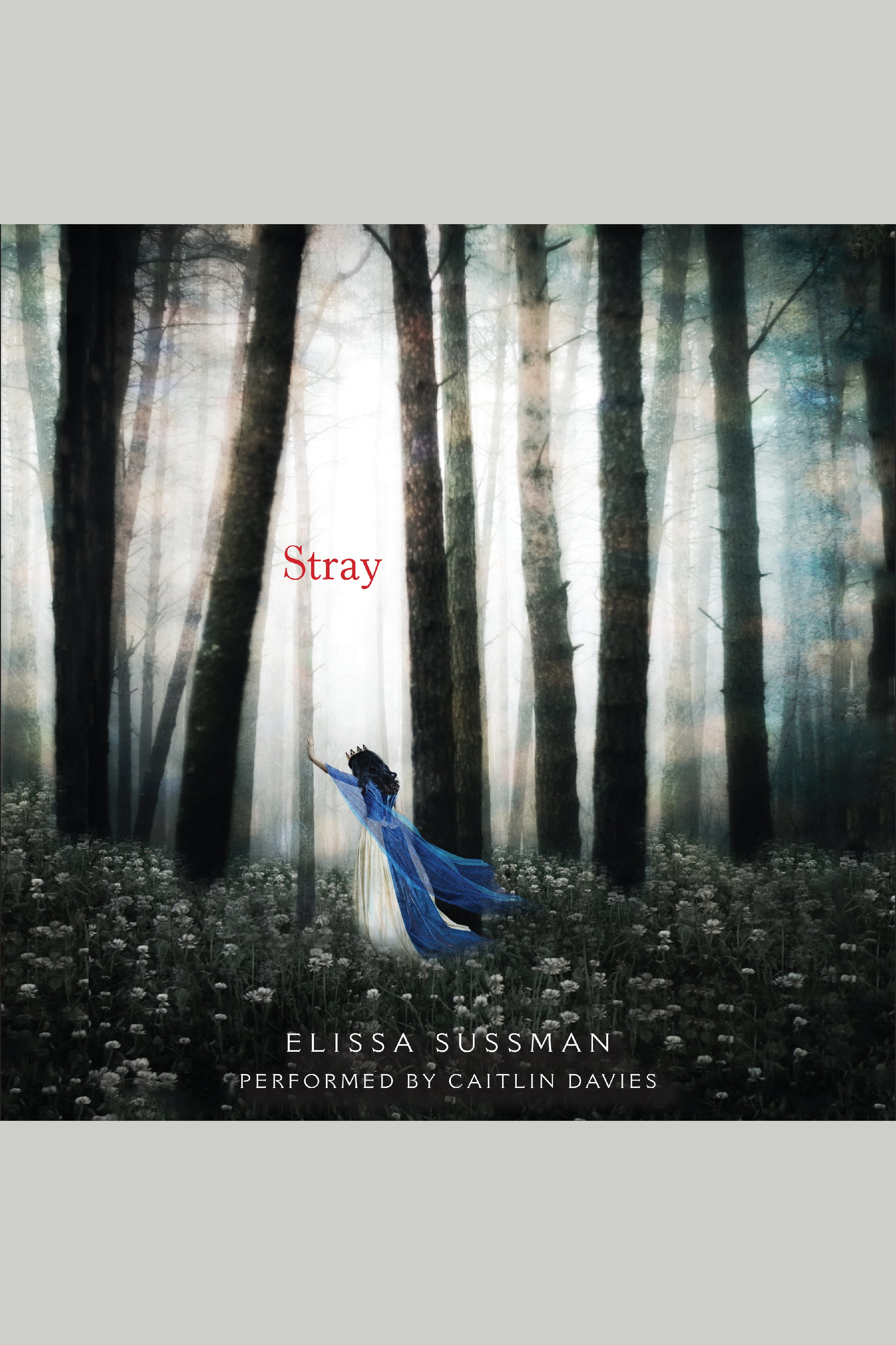 Cover image for Stray [electronic resource] :