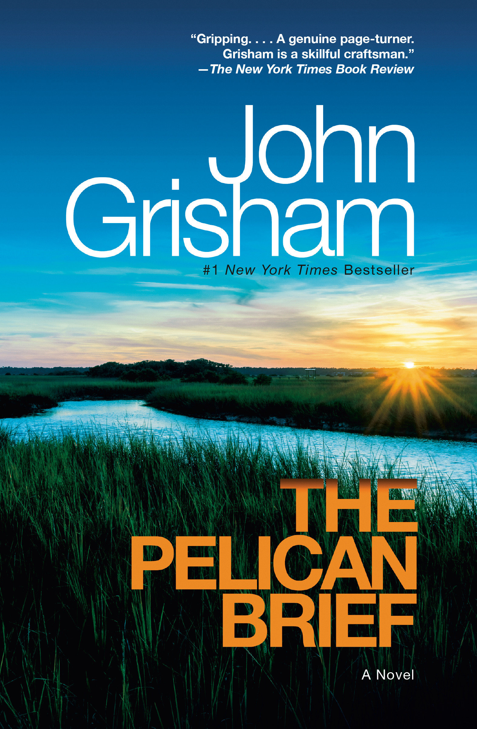 Cover image for The Pelican Brief [electronic resource] : A Novel