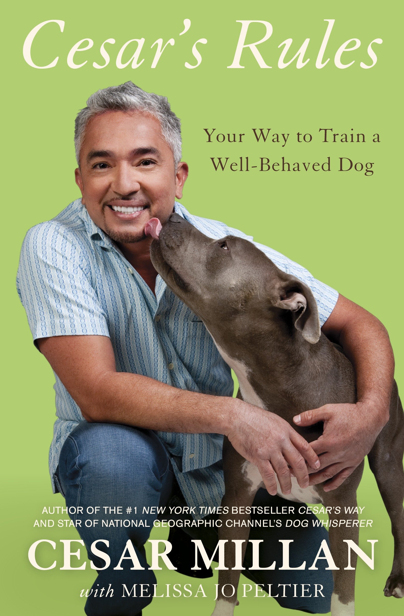 Cesar's rules your way to train a well-behaved dog cover image
