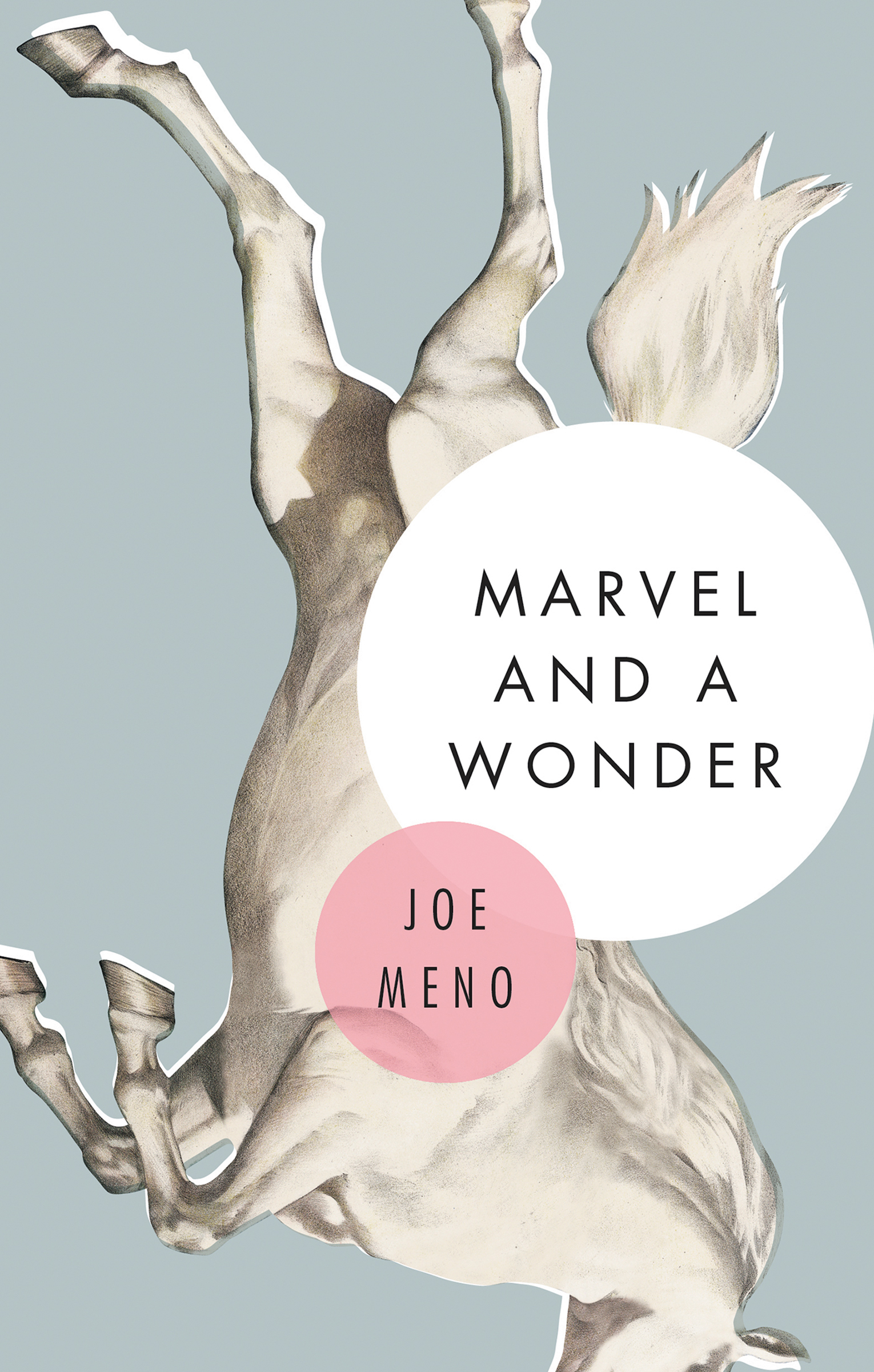 Umschlagbild für Marvel and a Wonder [electronic resource] :