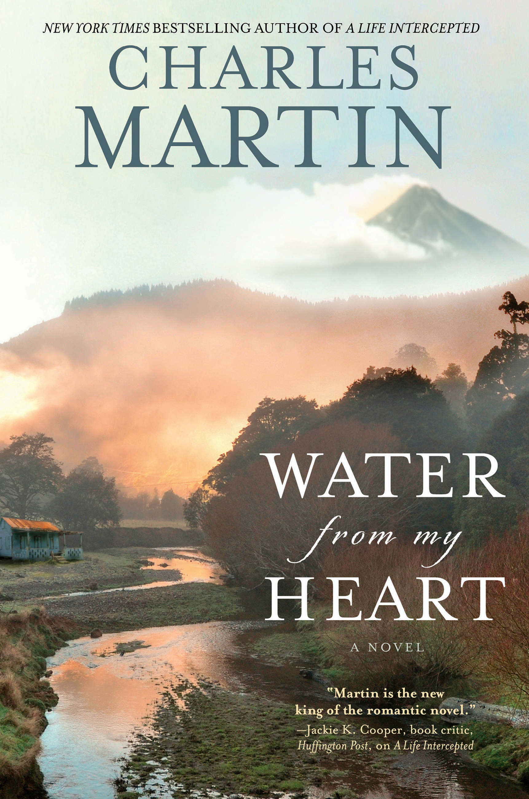 Image de couverture de Water from My Heart [electronic resource] : A Novel