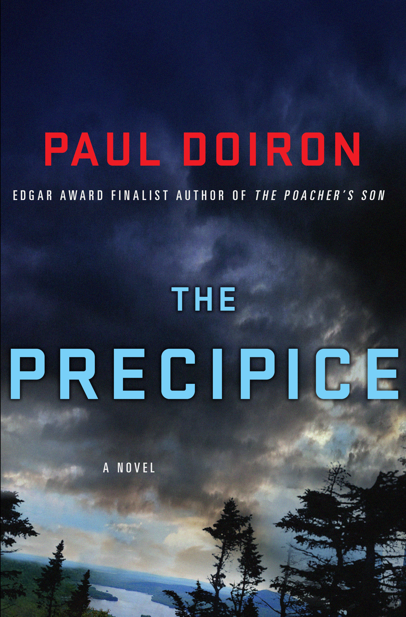 Umschlagbild für The Precipice [electronic resource] : A Novel