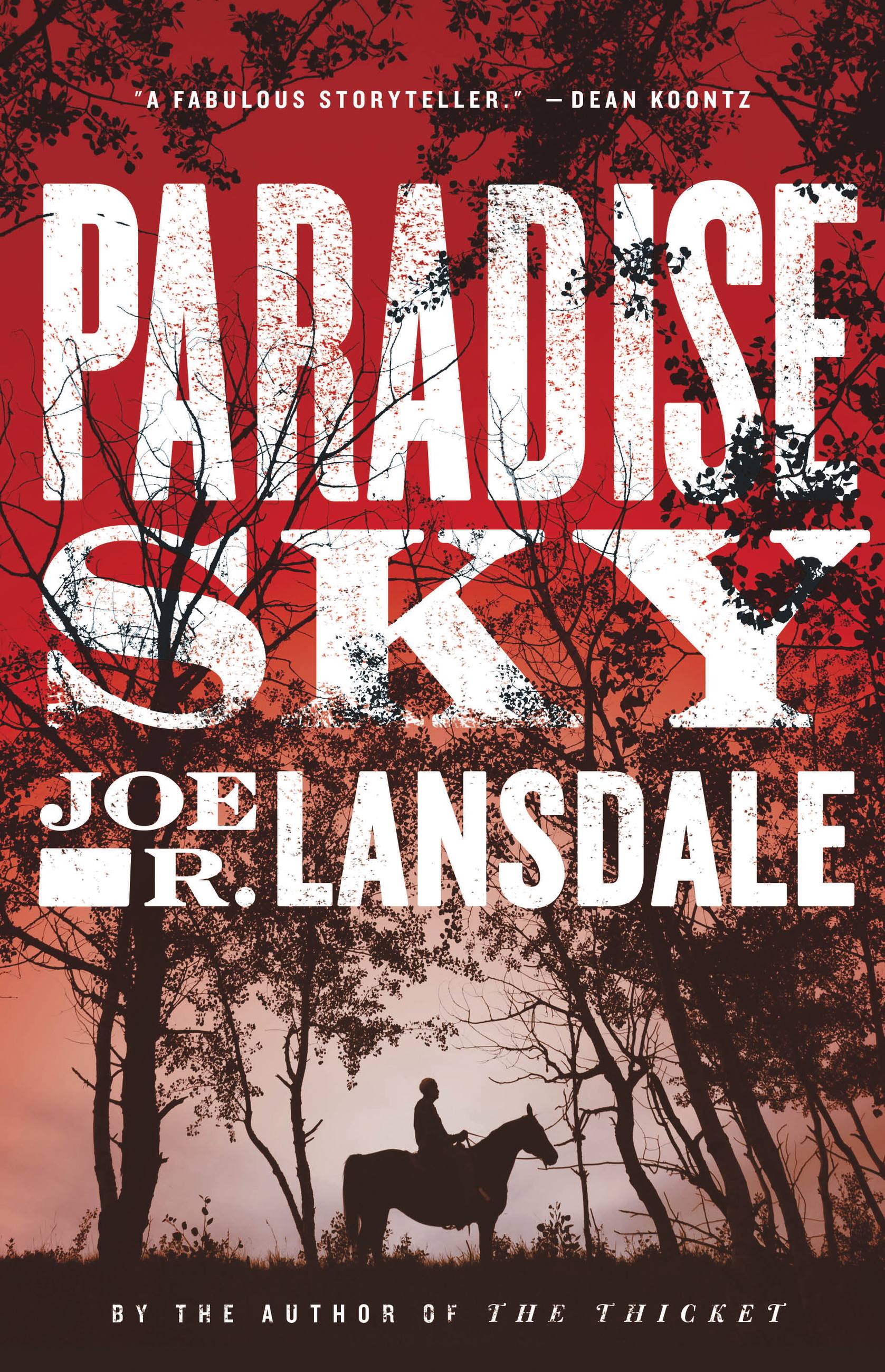 Cover image for Paradise Sky [electronic resource] :