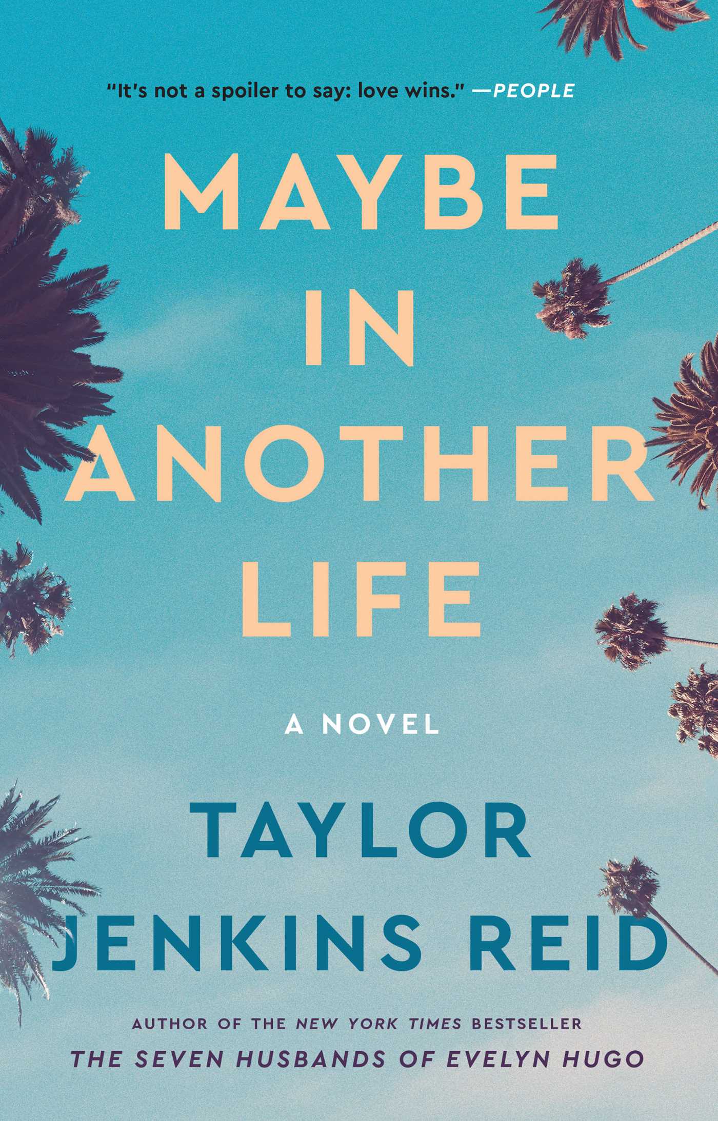 Maybe in Another Life cover image
