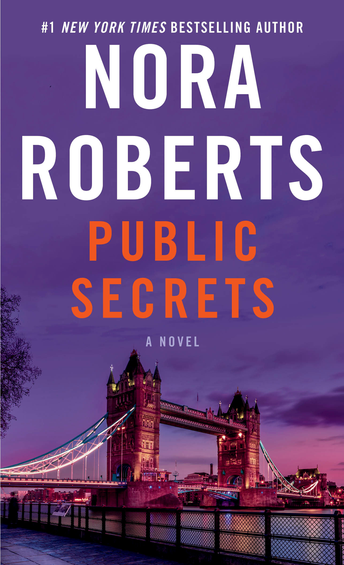 Cover image for Public Secrets [electronic resource] : A Novel