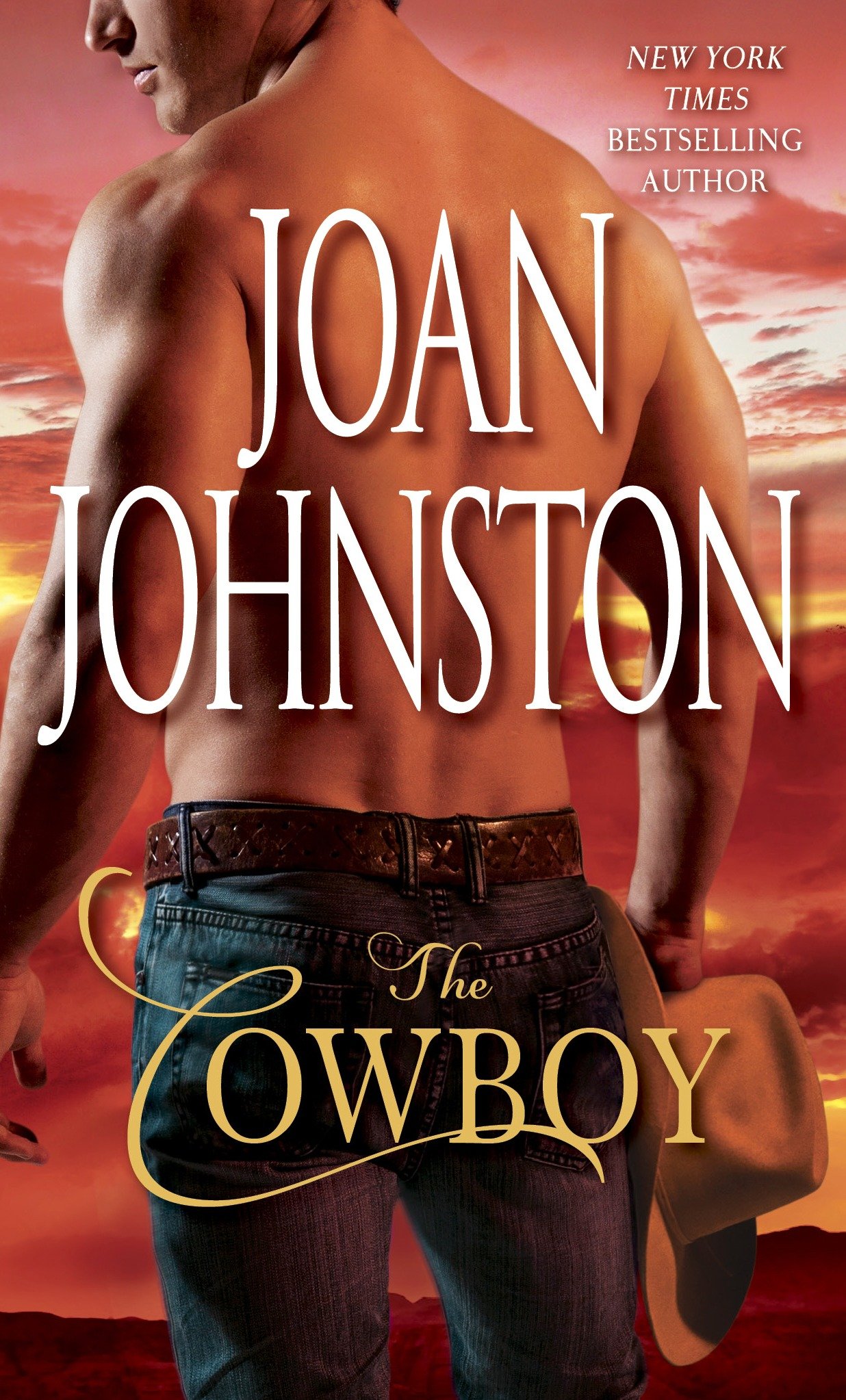 Cover image for The Cowboy [electronic resource] :