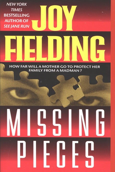 Cover image for Missing Pieces [electronic resource] : A Novel