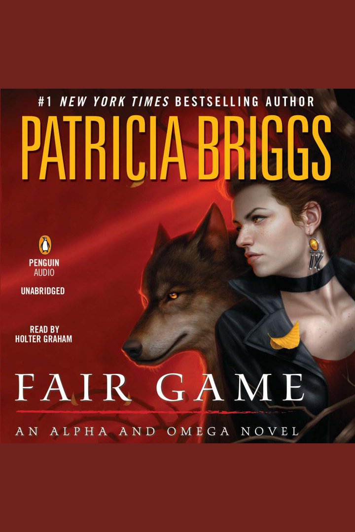 Cover image for Fair Game [electronic resource] :