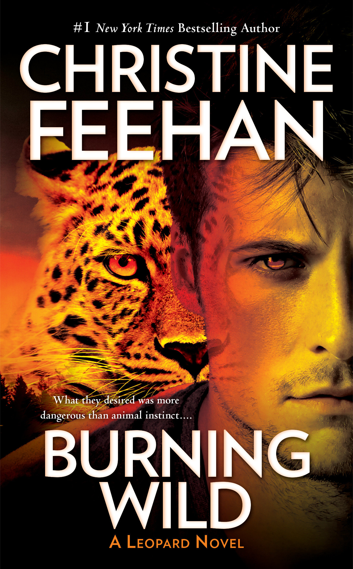 Cover image for Burning Wild [electronic resource] :
