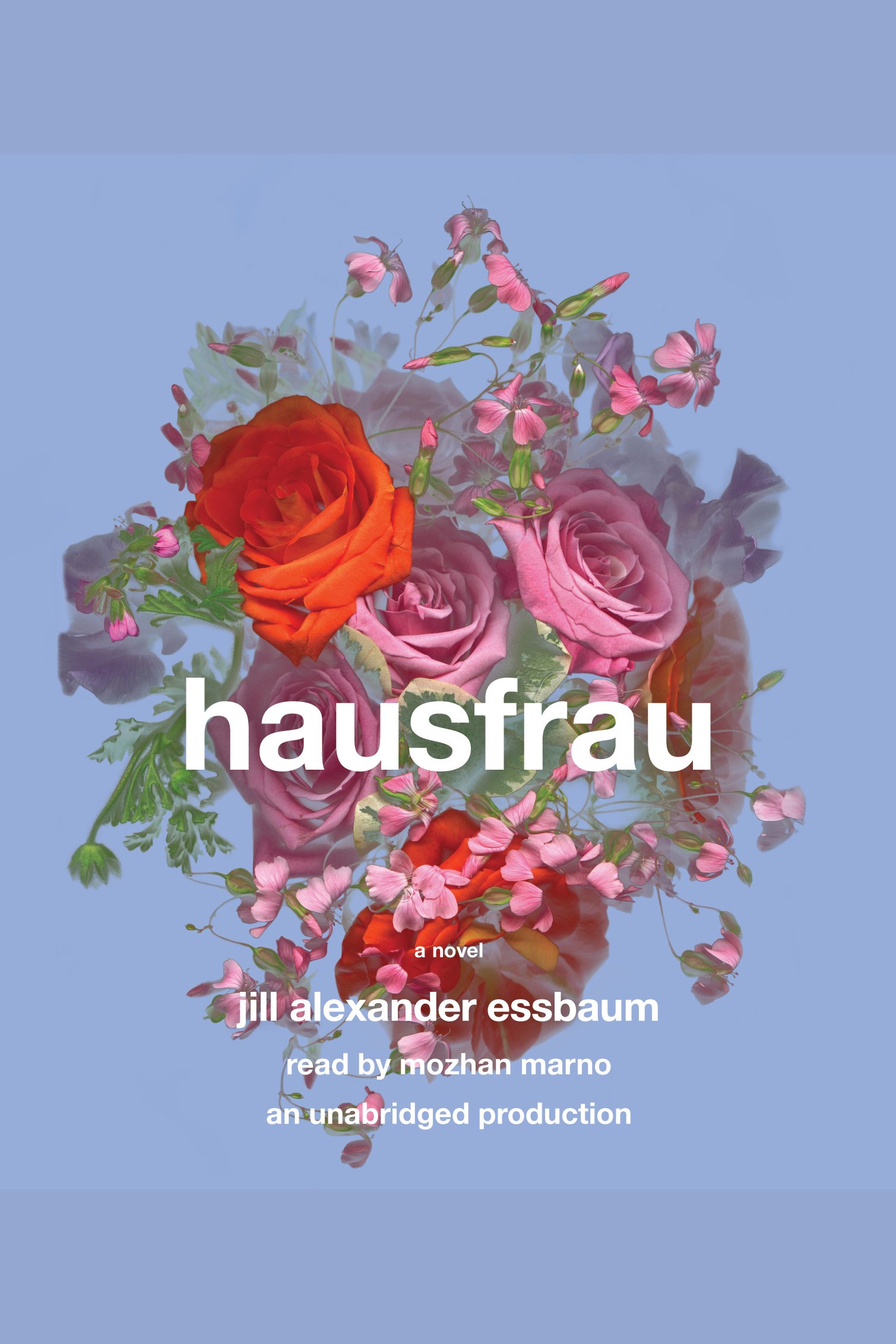 Imagen de portada para Hausfrau [electronic resource] : A Novel