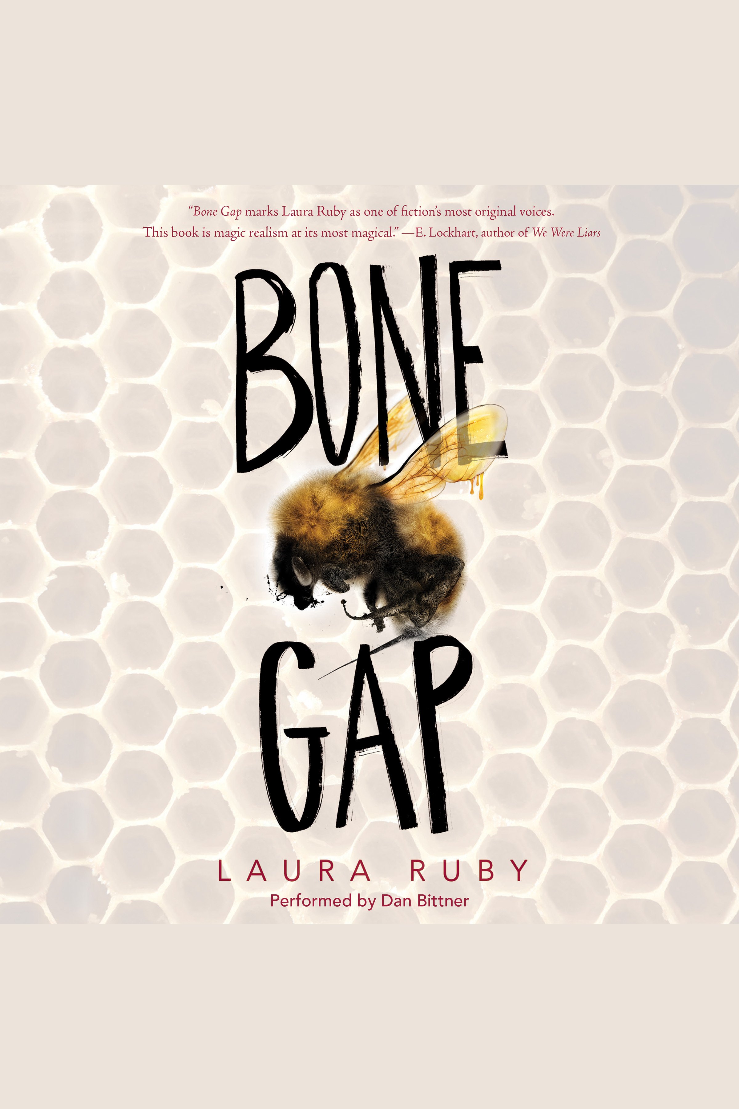 Cover image for Bone Gap [electronic resource] :