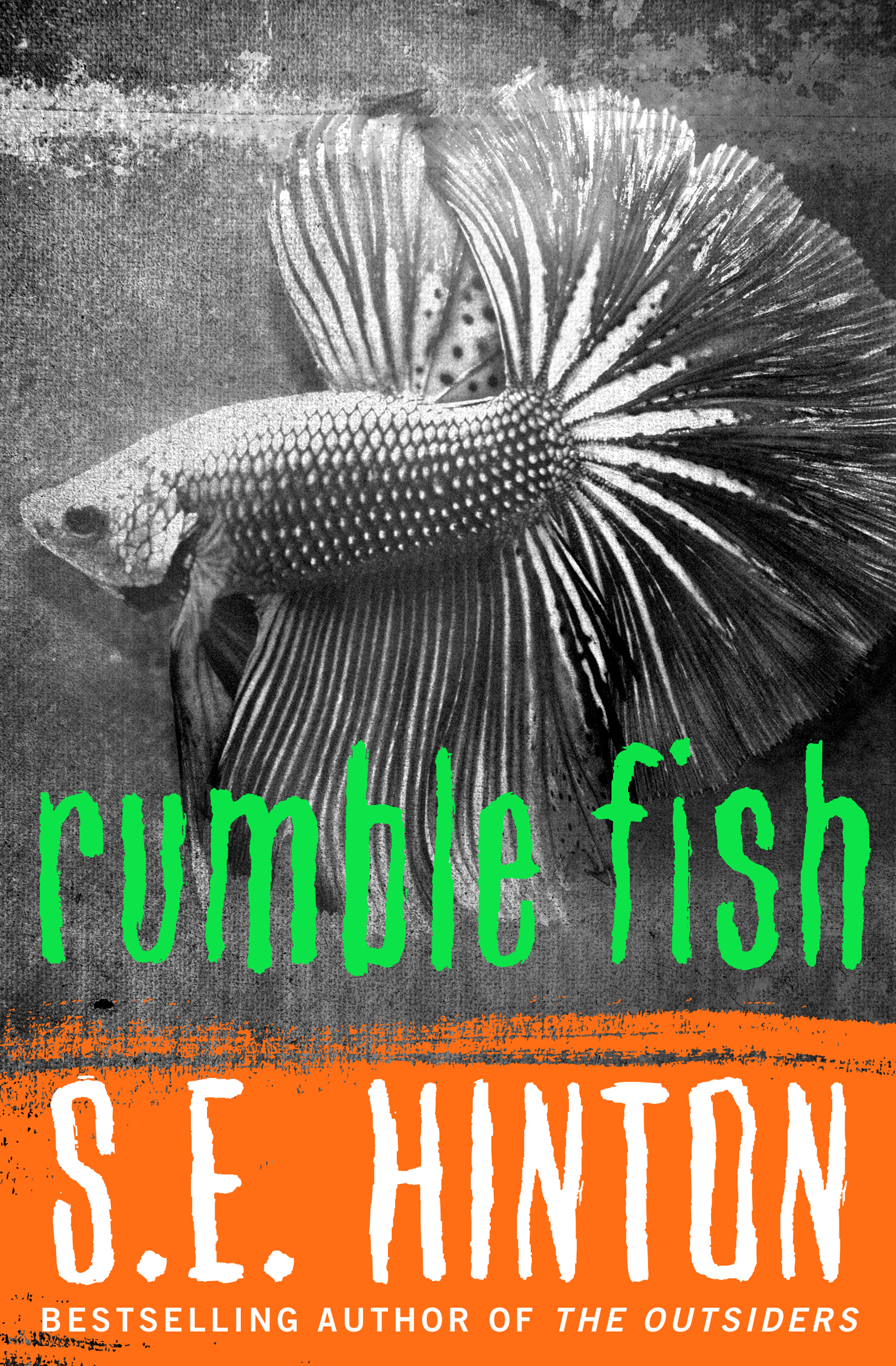 Cover image for Rumble Fish [electronic resource] :