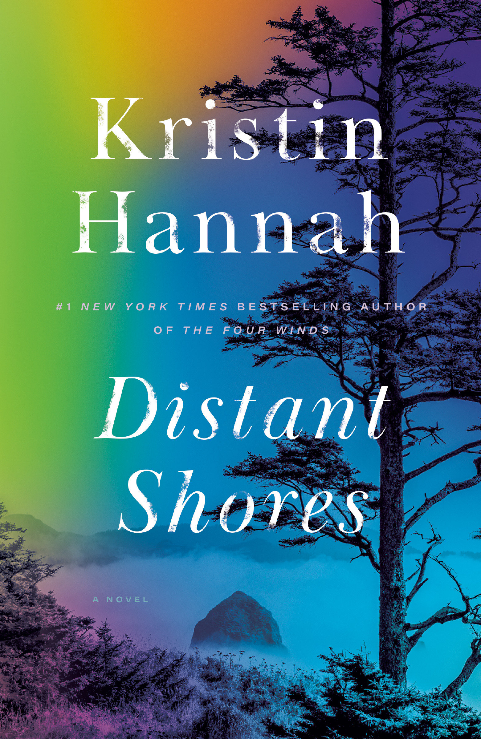 Cover image for Distant Shores [electronic resource] : A Novel