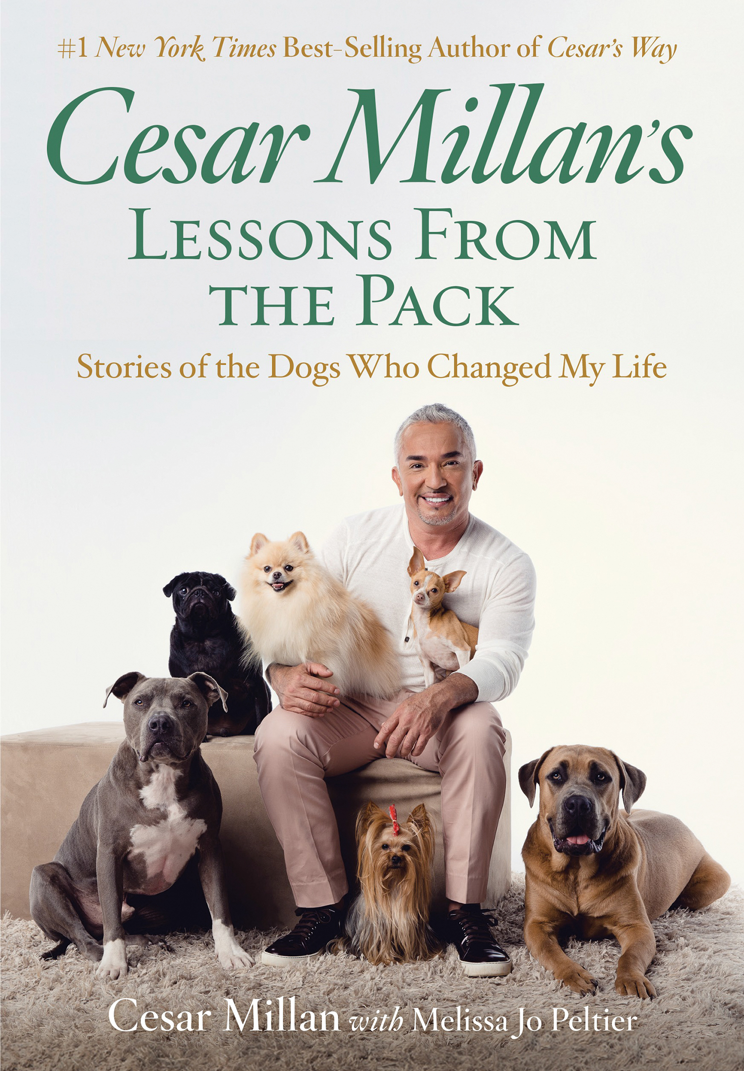 Image de couverture de Cesar Millan's Lessons From the Pack [electronic resource] : Stories of the Dogs Who Changed My Life